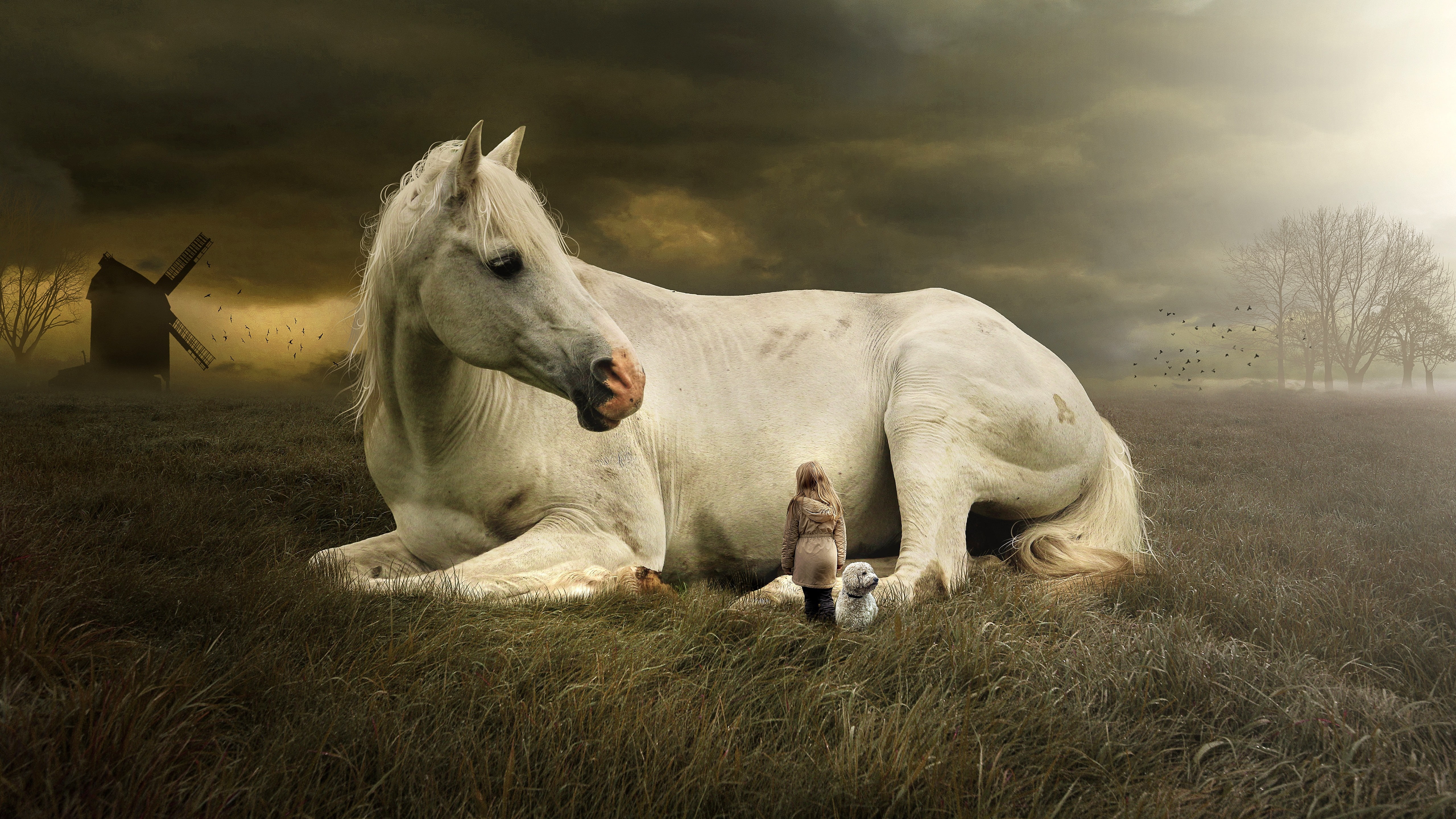 cute girl, grass, white horse, 5K, horse, windmill, giant, laying, pasture, cute dog, little girl, stallion, colossus, huge, HD Wallpaper