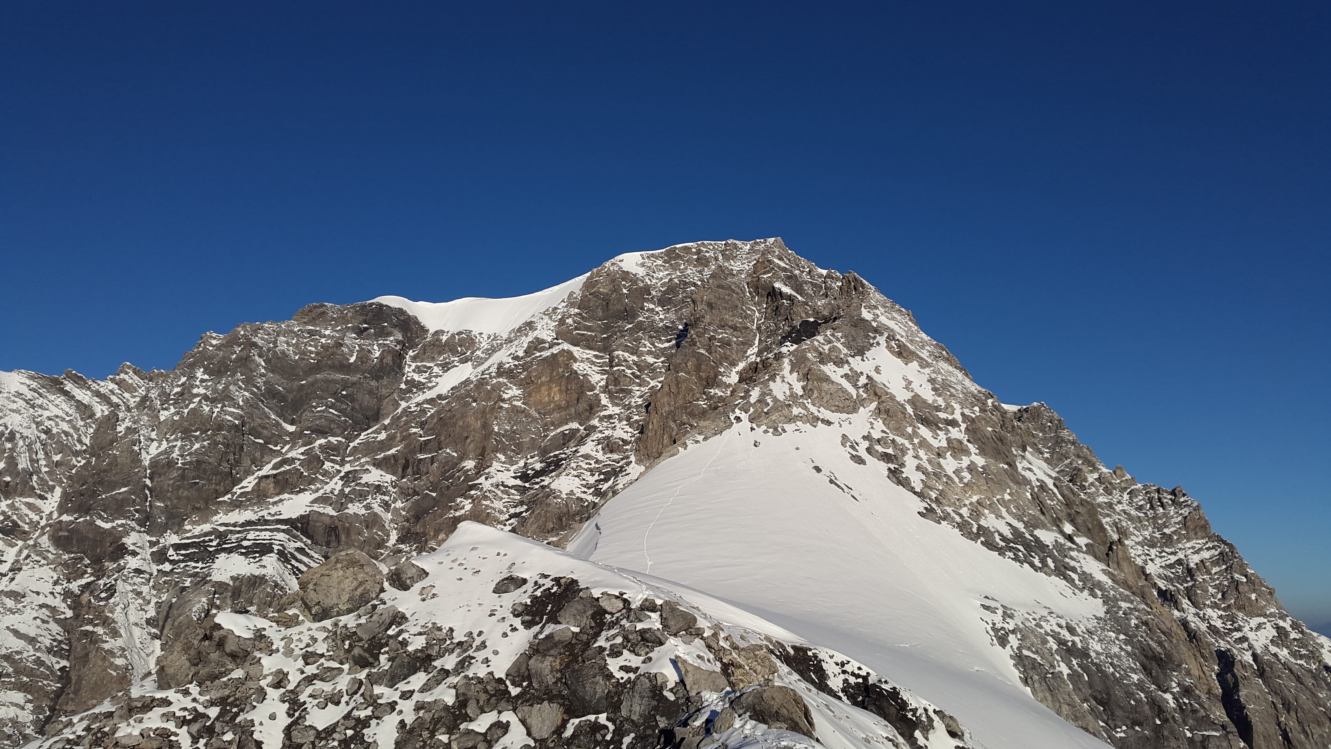 high, blue, nature, landscape, beauty in nature, mountain Peak, cold temperature, hintergrat, coniferous tree, snow, Ortler, sky, clear sky, sport, adventure, HD Wallpaper