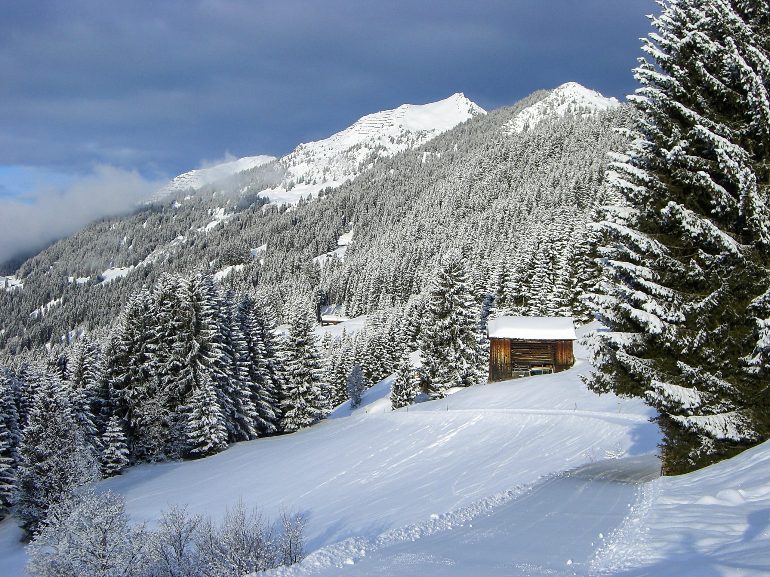 beauty in nature, non-urban scene, winter forest, sky, ski resort, Landscape, snow shoe walking, snow landscape, cloud - sky, house, pine tree, no people, HD Wallpaper