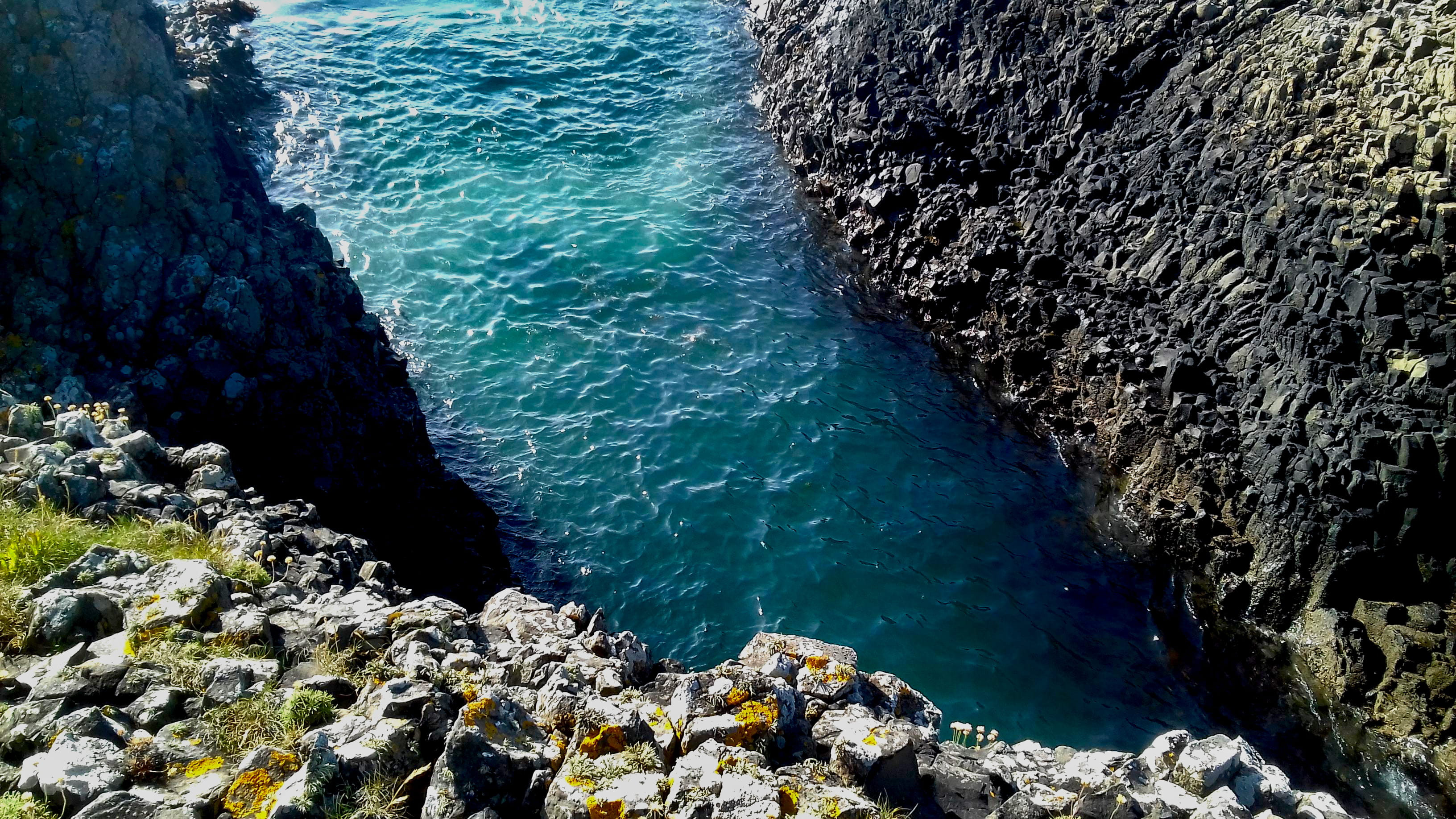 nature, ocean, ripple, summer, wave, tranquility, rock, grass, day, water, tranquil scene, stones, waves, scenics - nature, splash, flower, purity, blue, HD Wallpaper
