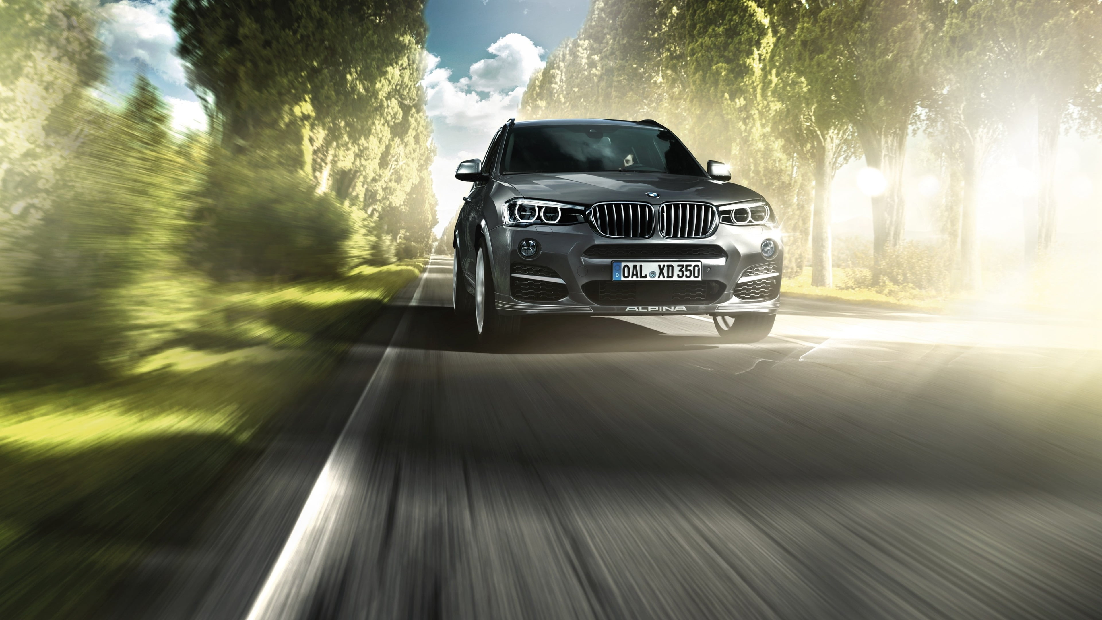 journey, tree, land vehicle, bmw x3 4k pc full hd, car, 4K, on the move, sunlight, day, road trip, plant, outdoors, motion, blurred motion, sports utility vehicle, HD Wallpaper
