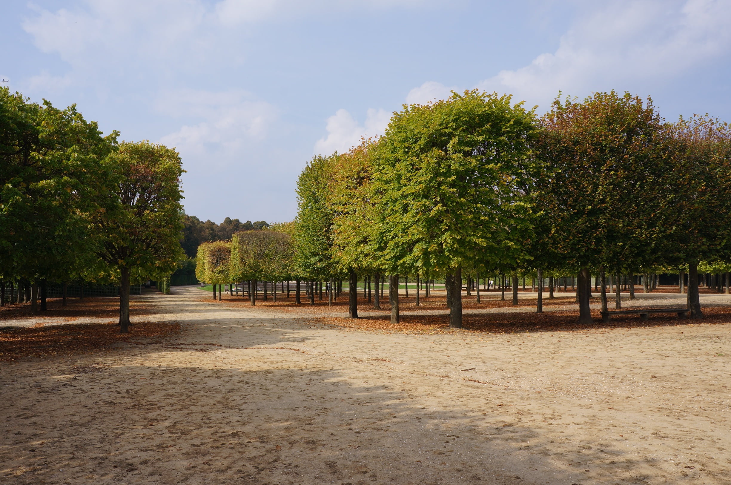 field, garden, growth, memory, idyllic, cloud - sky, nature, parisian, park, non-urban scene, scenics - nature, forest, château de versailles, france, plant, HD Wallpaper