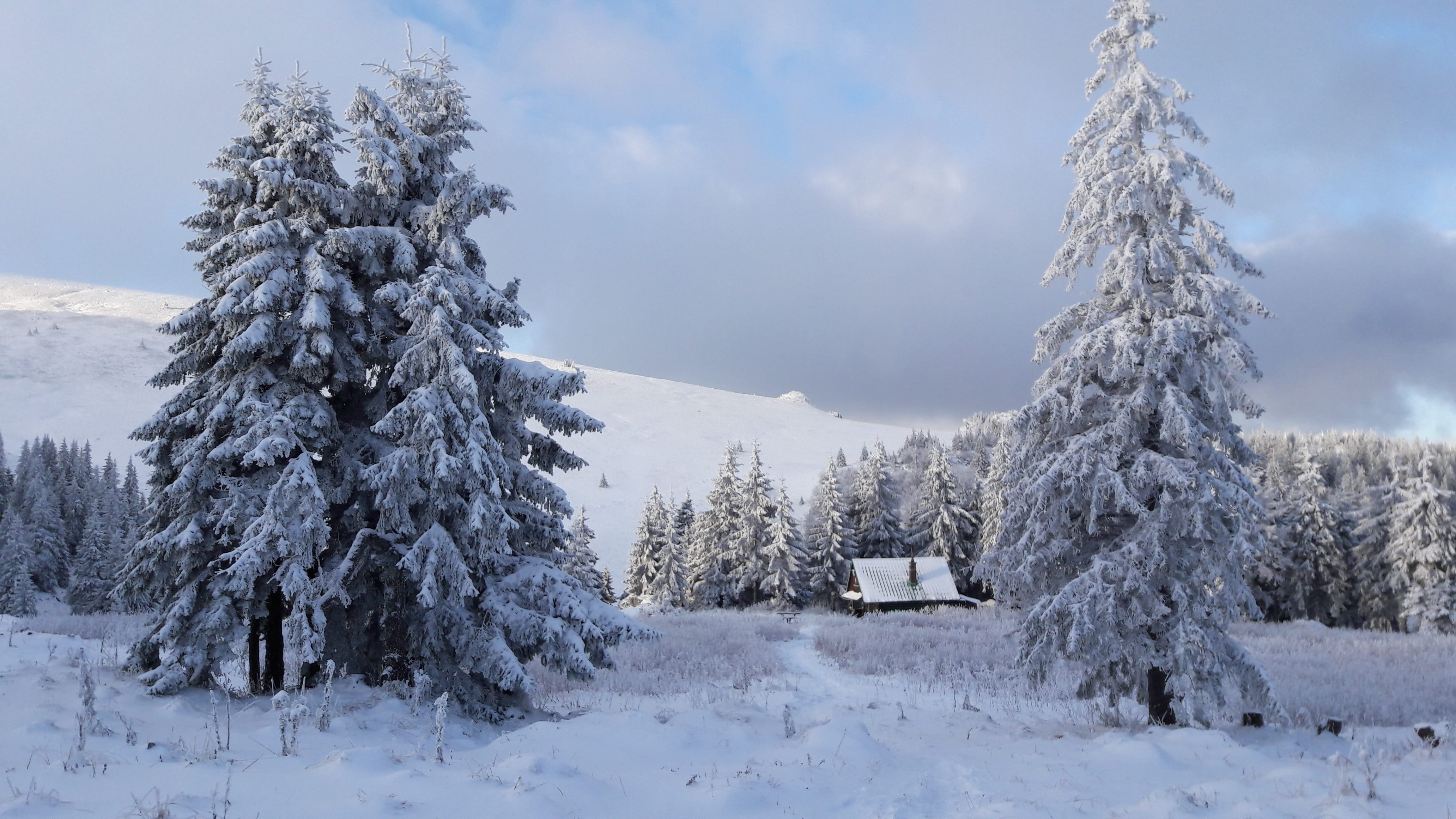 land, beauty in nature, cottage, forest, tranquility, mountains, environment, woodland, peace of mind, tranquil scene, 4K, views, scenics - nature, icing, HD Wallpaper