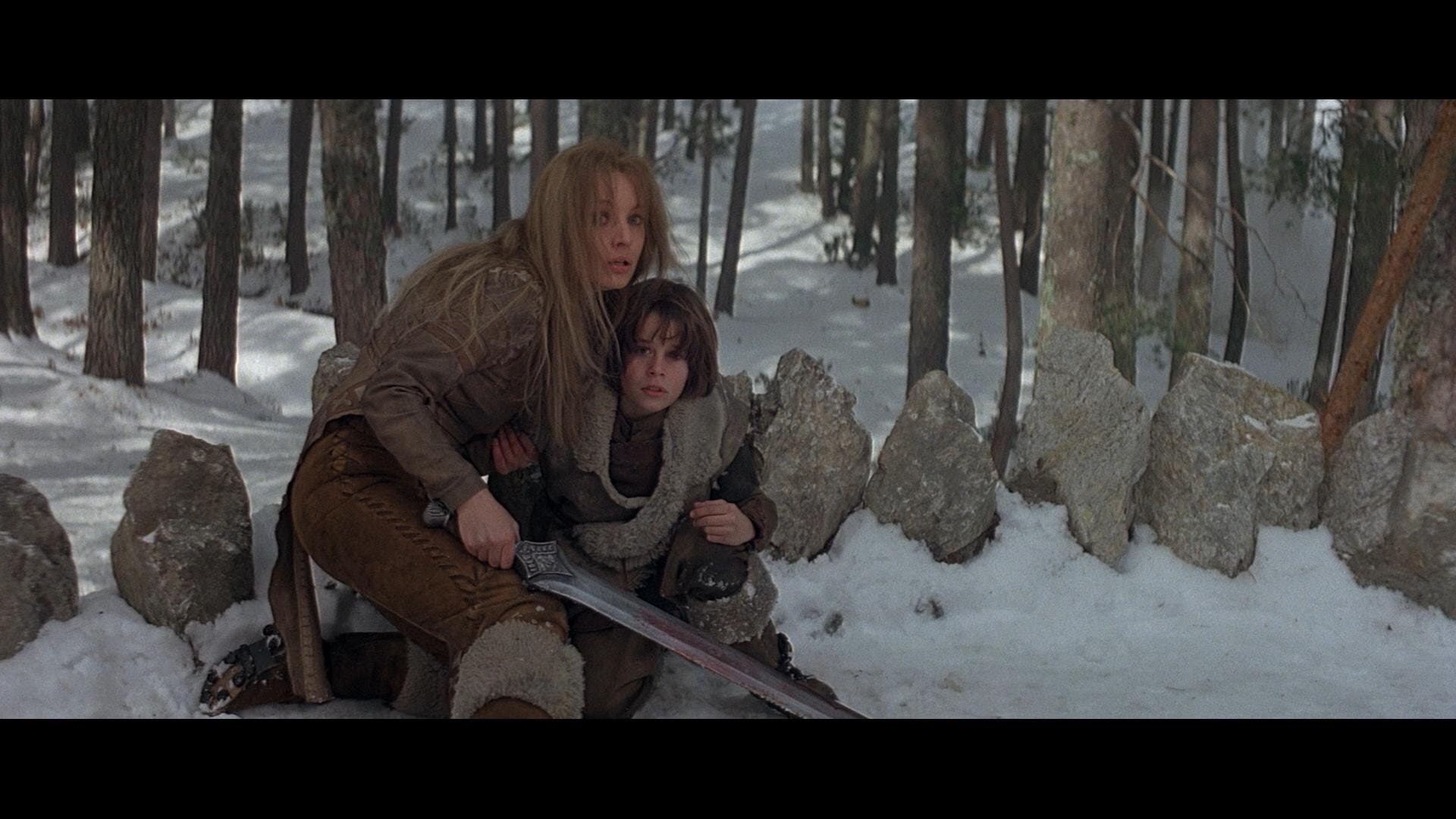 barbarian, 1080P, conan, HD Wallpaper