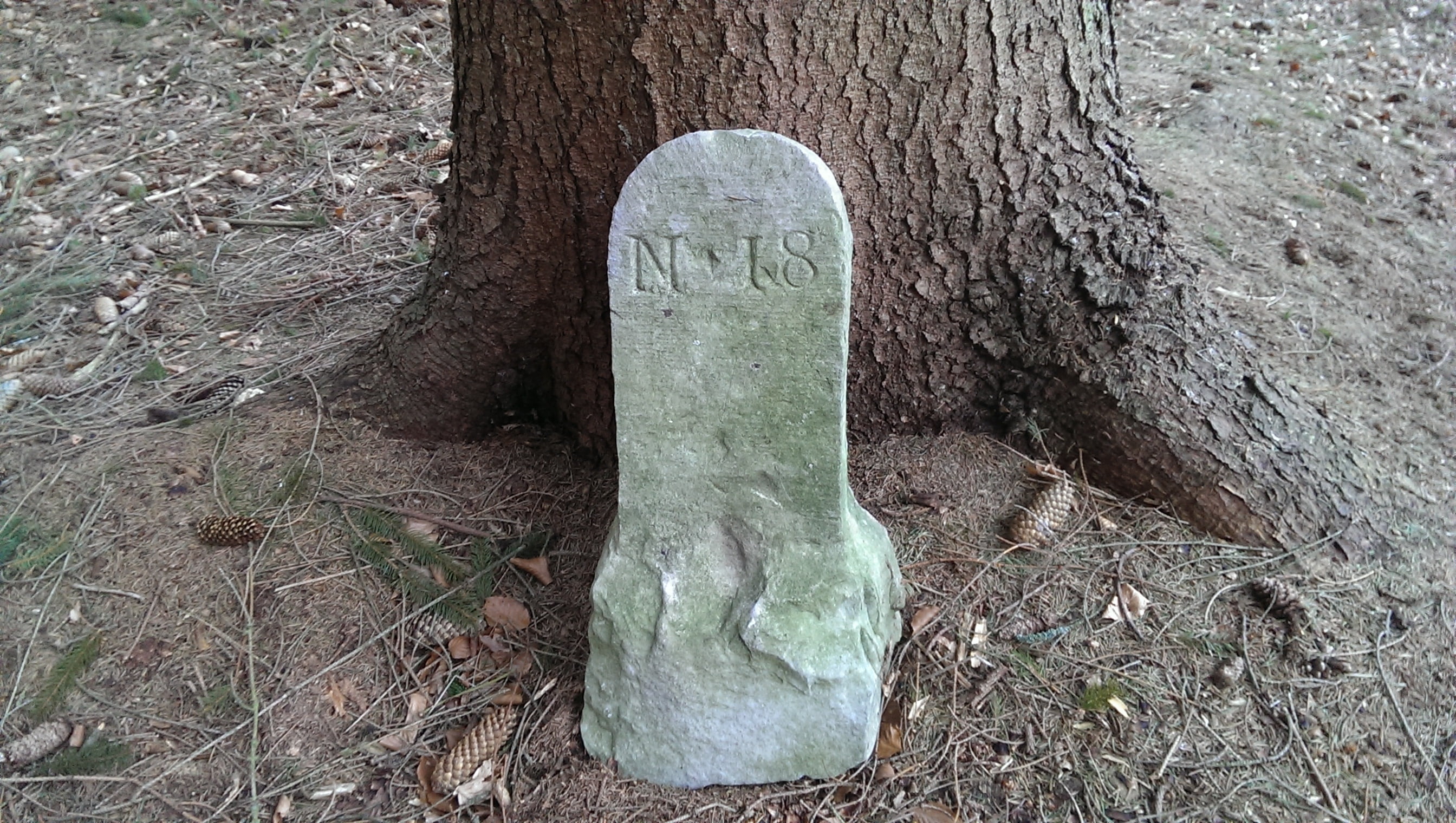 day, no people, tree trunk, high angle view, tree, human representation, forest, close-up, milestone, landmark, memory, mark, history, land, representation, HD Wallpaper
