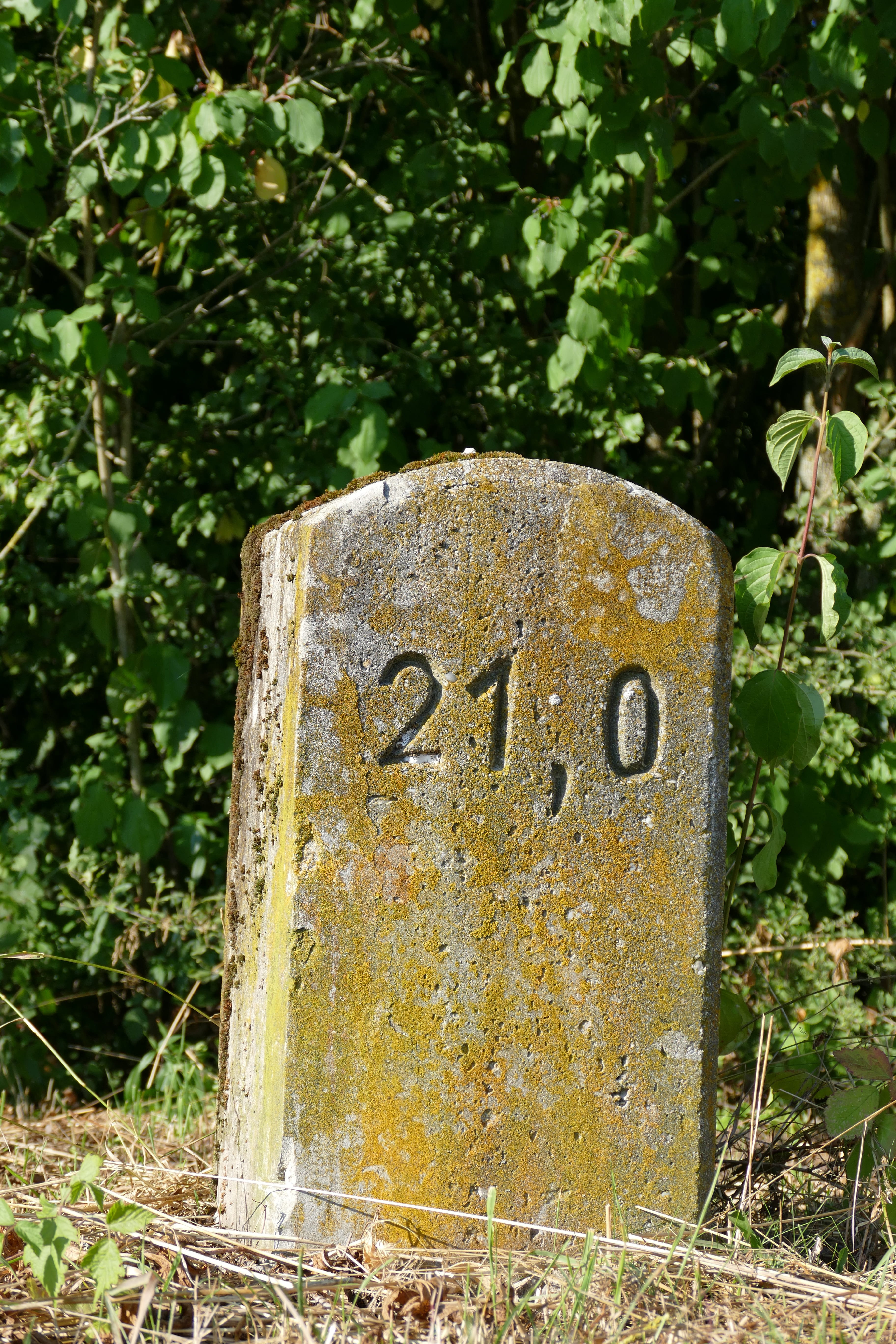 focus on foreground, land, 5K, Milestone, plant, field, sign, growth, signpost, tree, information, Wall, nature, Landmark, outdoors, wall stone, old, mileage, Phone HD Wallpaper
