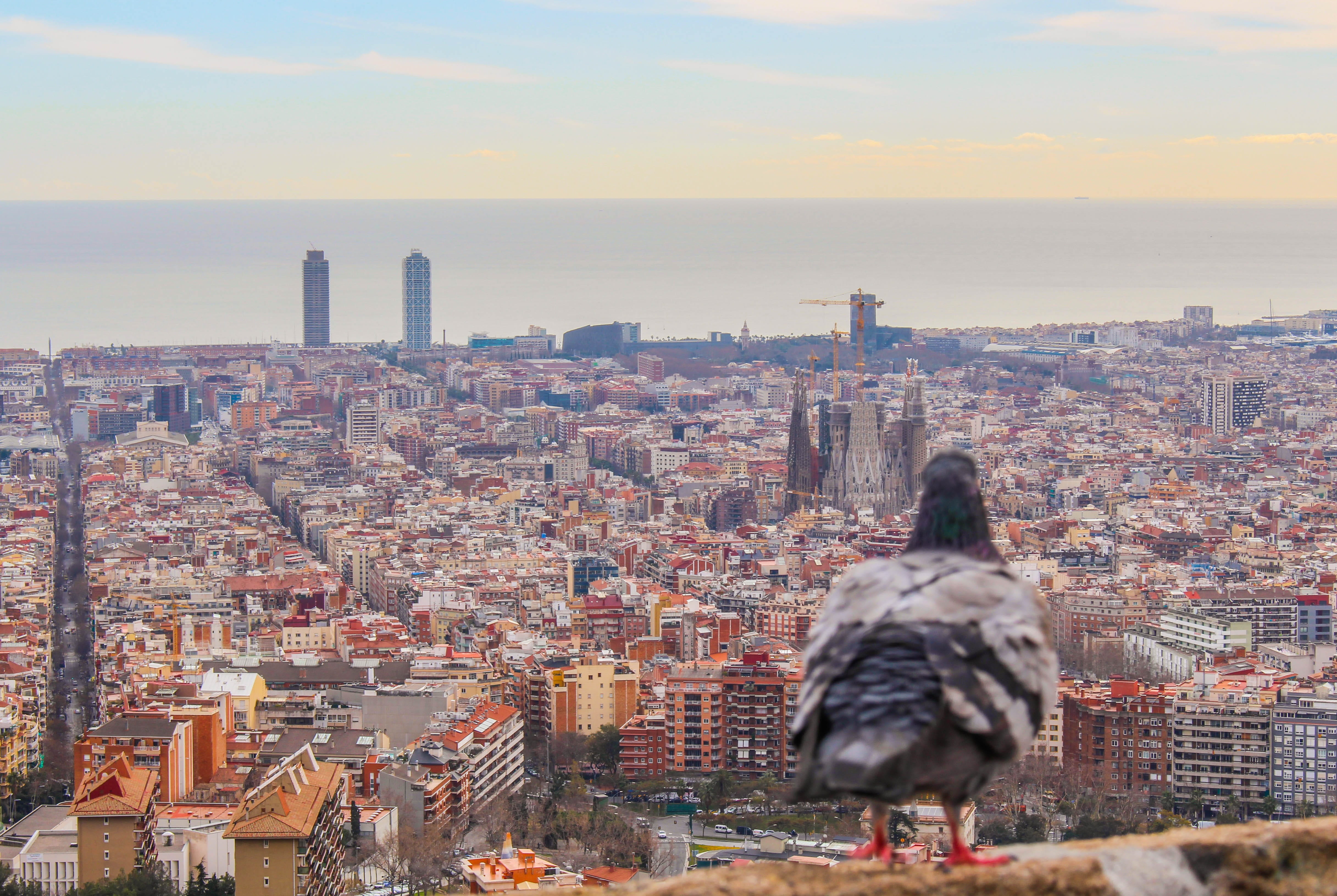 religion, 4K, sky, catalonia, barcelona, looking at view, spain, paloma, crowded, nature, bcn, construction, residential district, modern, inside, cathedral, HD Wallpaper