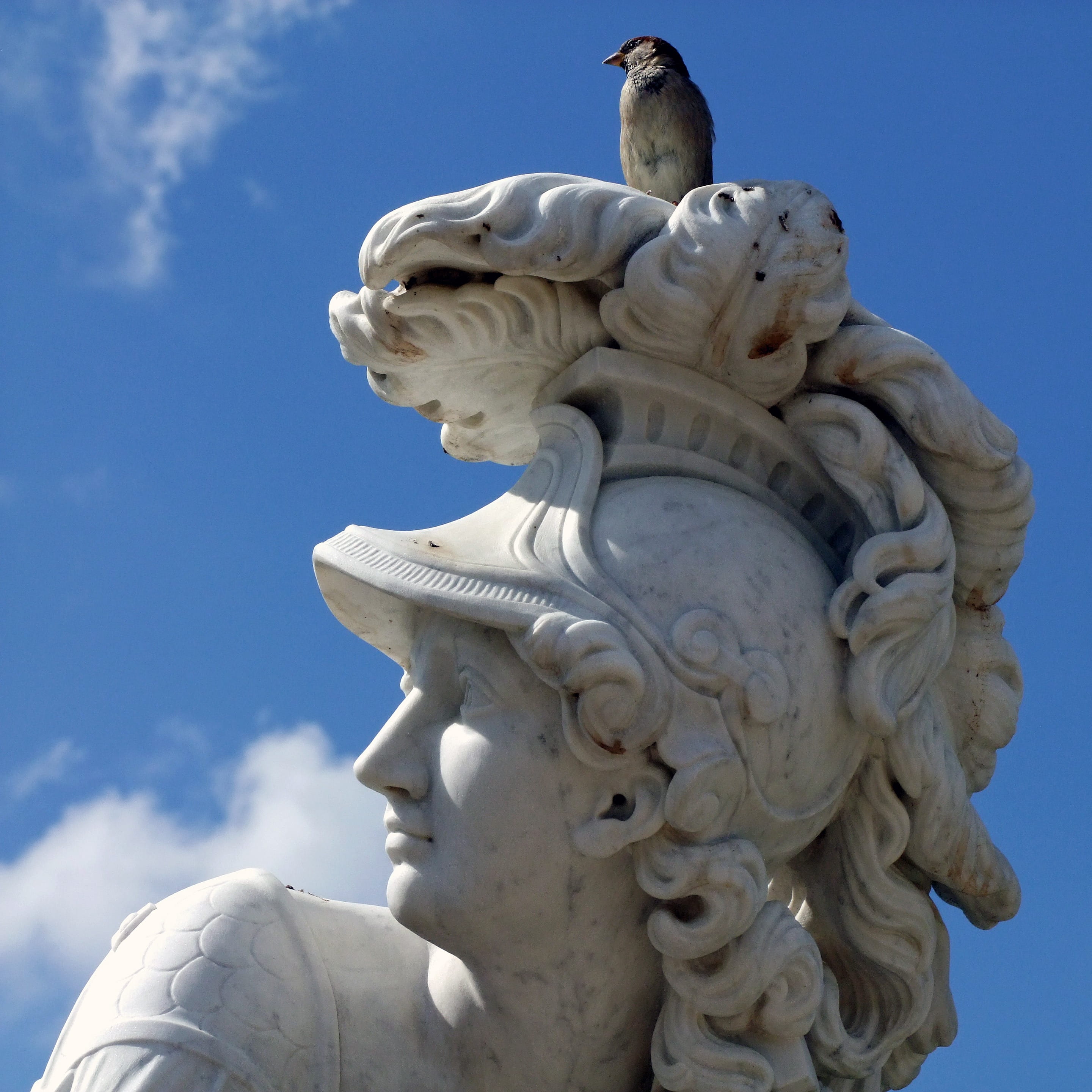 head, statue, day, goddess of wisdom, minerva, no people, Sculpture, bird, blue, male likeness, cloud - sky, human representation, angel, Park Sanssouci, Phone HD Wallpaper