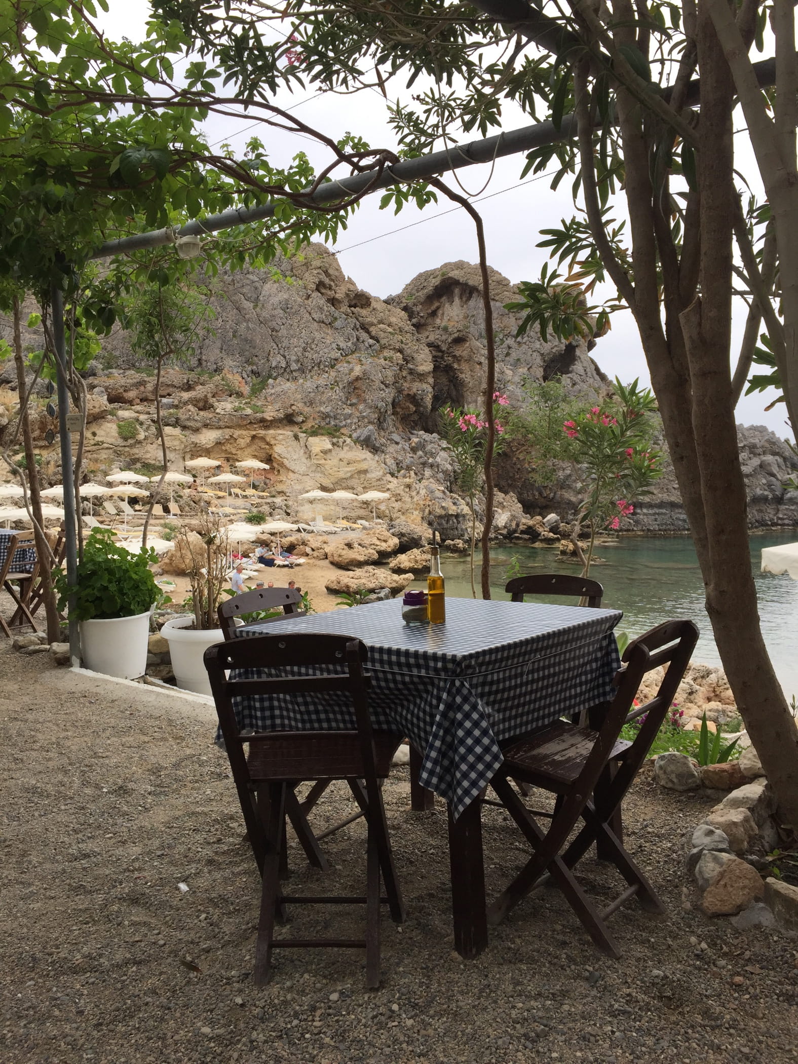 lindos, tranquility, ex.tree, plant, table, ex.sea, seat, tree trunk, ex.lindos, greece, nature, beauty in nature, 1080P, land, trunk, bench, tree, ex.rocks, Phone HD Wallpaper