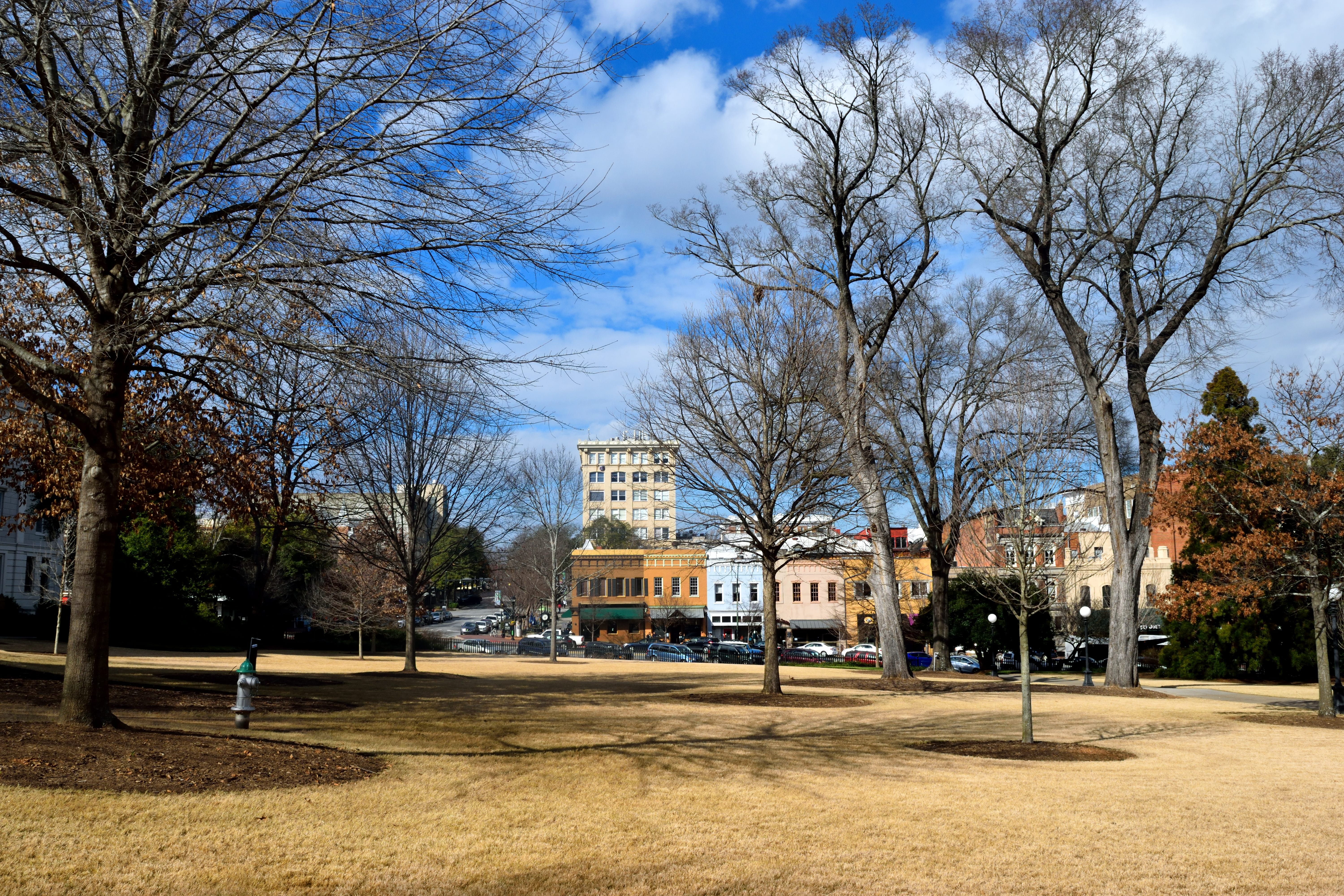 bare tree, sky, growth, buildings, built structure, blue, cloud - sky, athens georgia, outdoors, plant, park, tree, park - man made space, architecture, HD Wallpaper