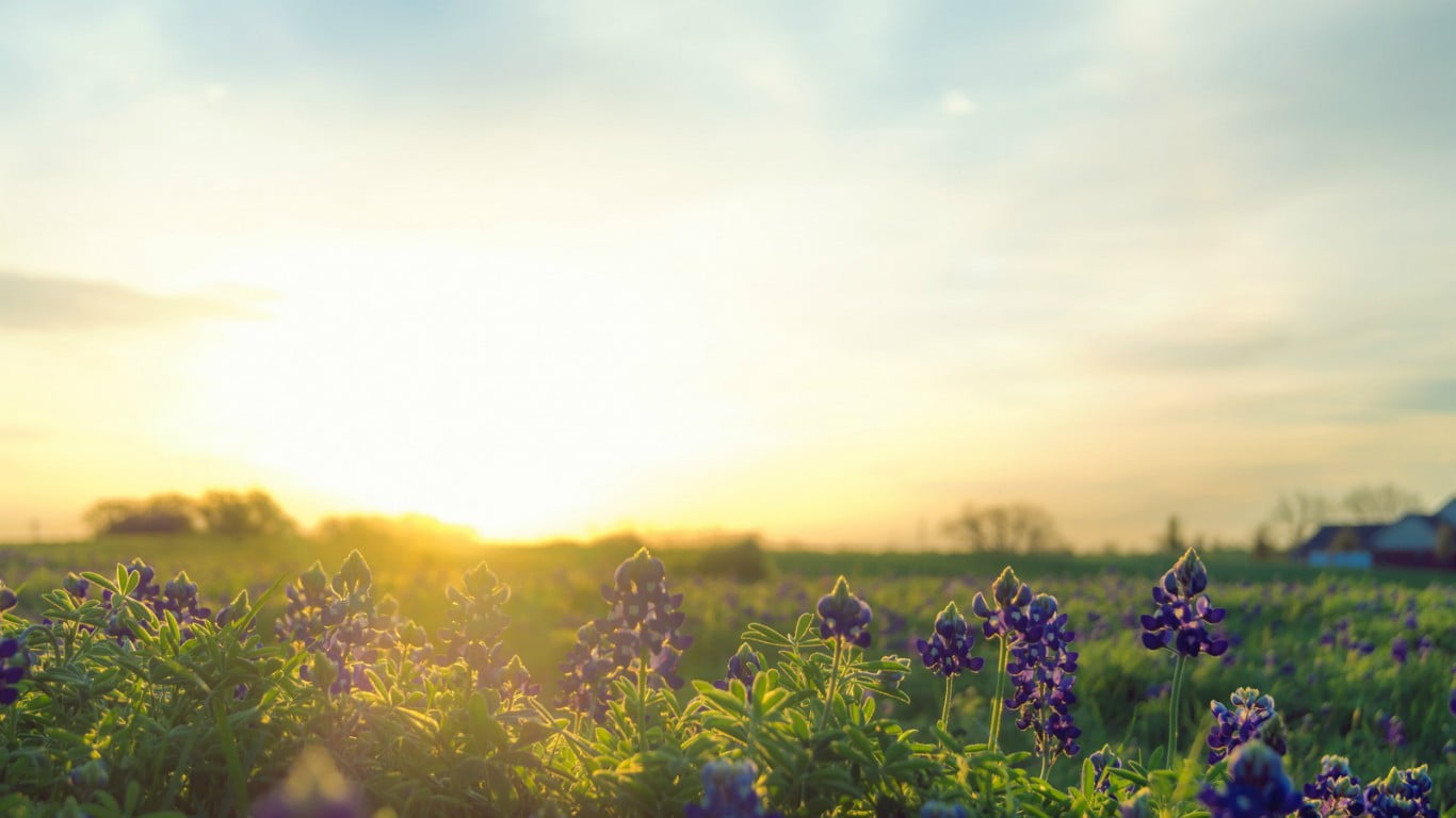 flowering plant, sky, fragility, tranquility, cloud - sky, 720P, field, land, no people, plant, nature, vulnerability, scenics - nature, environment, lavenders, HD Wallpaper