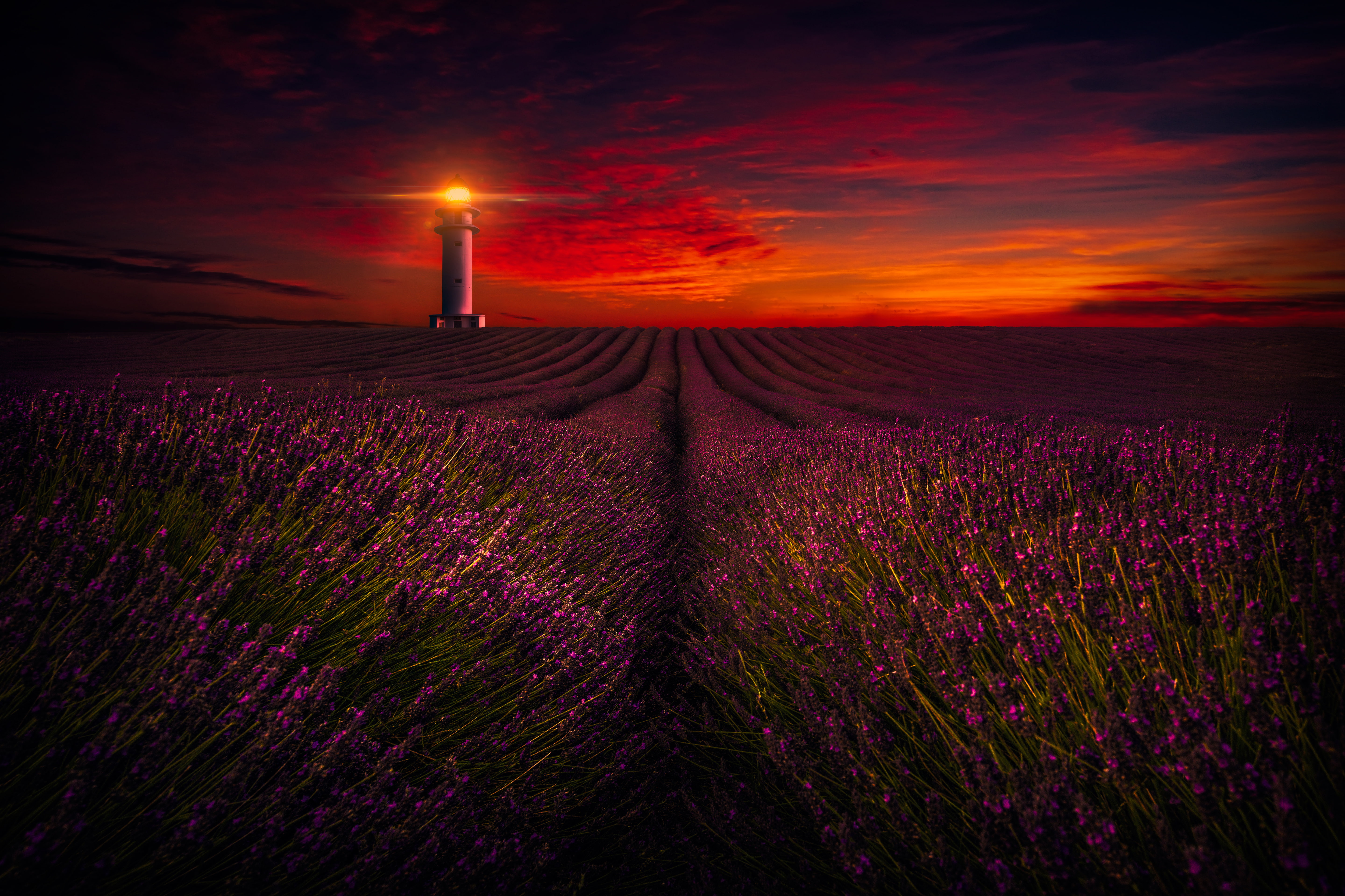 5K, 4K, 5K, Lavender Farm, Sunset, Lighthouse, HD Wallpaper