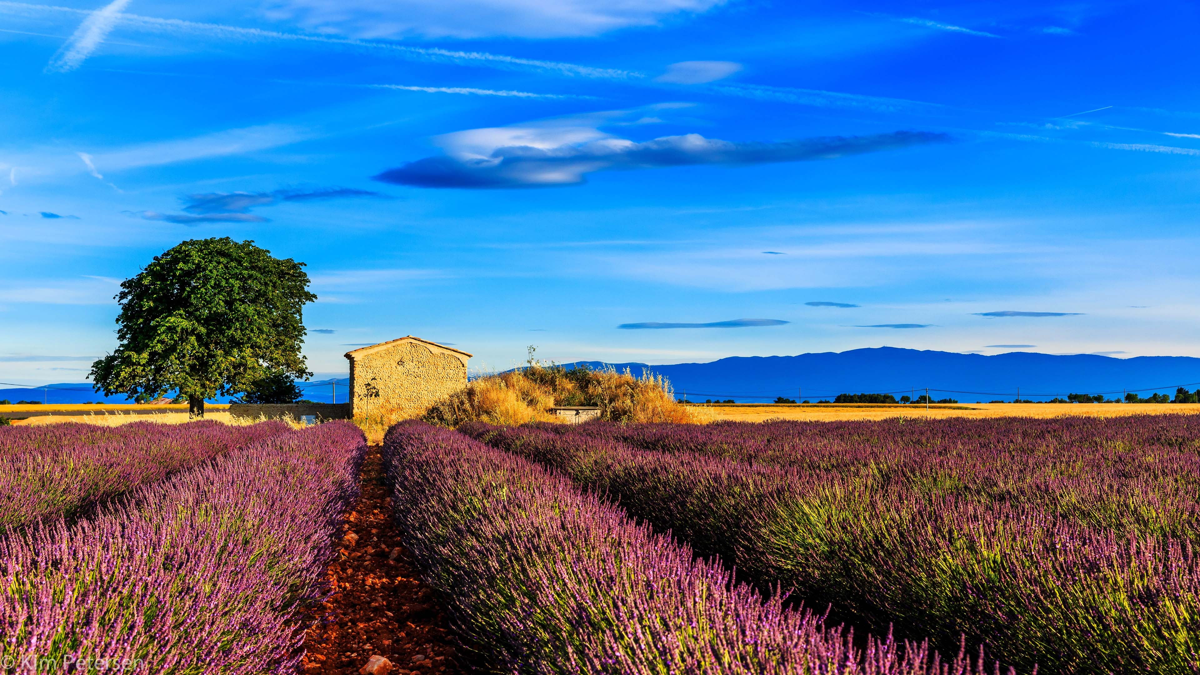 beach, outdoor, cloudy, mountain, flowering plant, sunlight, rural scene, reflection, tranquil scene, lavender, plant, life, lake, scenic, grass, sun, purple, HD Wallpaper