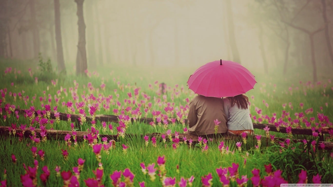 720P, umbrella, land, rear view, leisure activity, outdoors, beside, plant, person, nature, flower, flowering plant, women, daytime, real people, field, HD Wallpaper