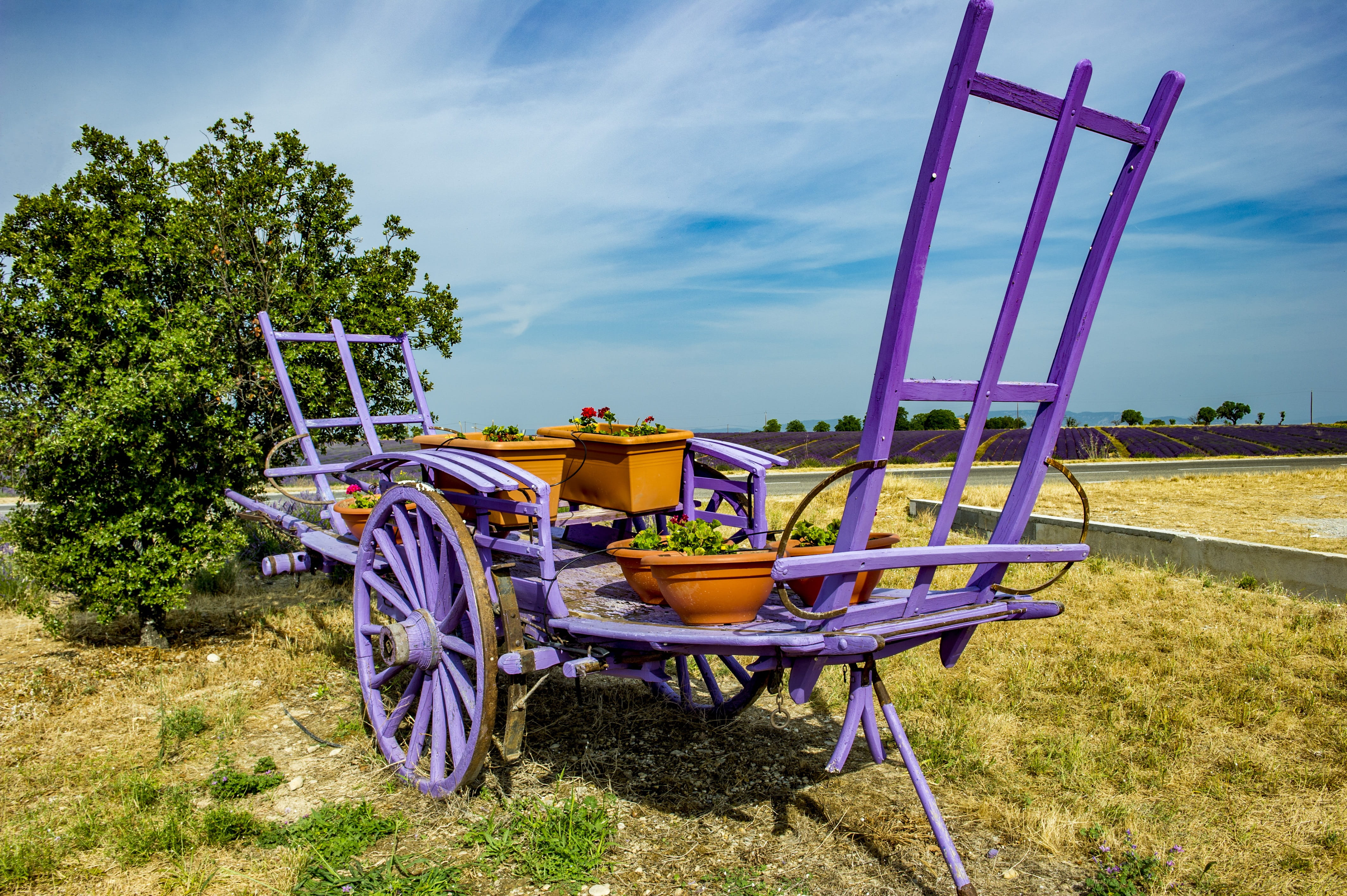 absence, 4K, Valensole, beauty in nature, no people, sky, wheel, nature, field, summer, green color, cart, mode of transportation, tranquility, Provence, HD Wallpaper