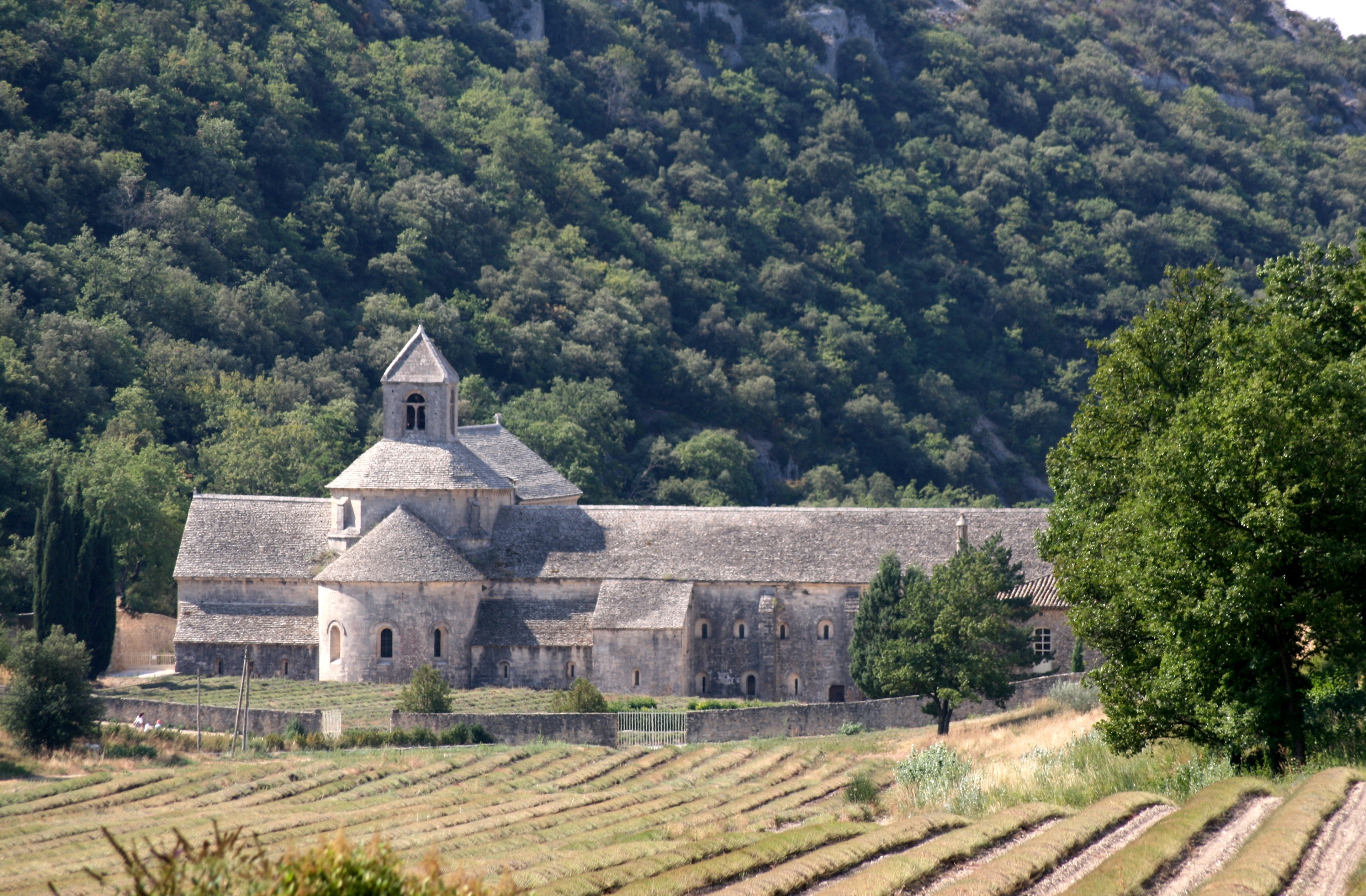 outdoors, architecture, mountain, sénanque, church, belief, gordes, plant, notre dame de sénanque, cistercian monastery, abbey church, building, built structure, HD Wallpaper