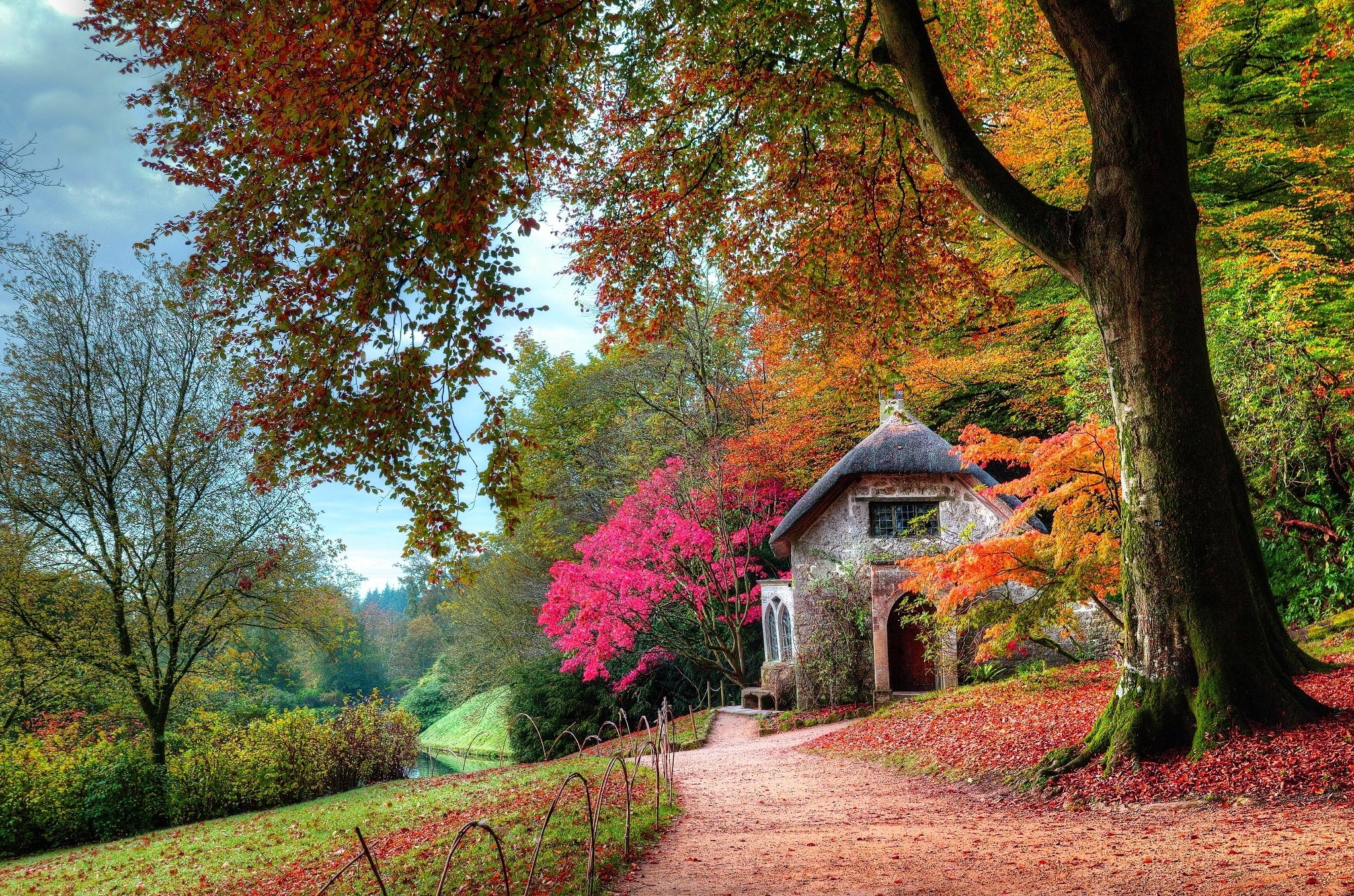 moss, path, 1080P, pink, garden, trees, orange, landscape, dirt road, cottage, leaves, fall, nature, green, shrubs, HD Wallpaper