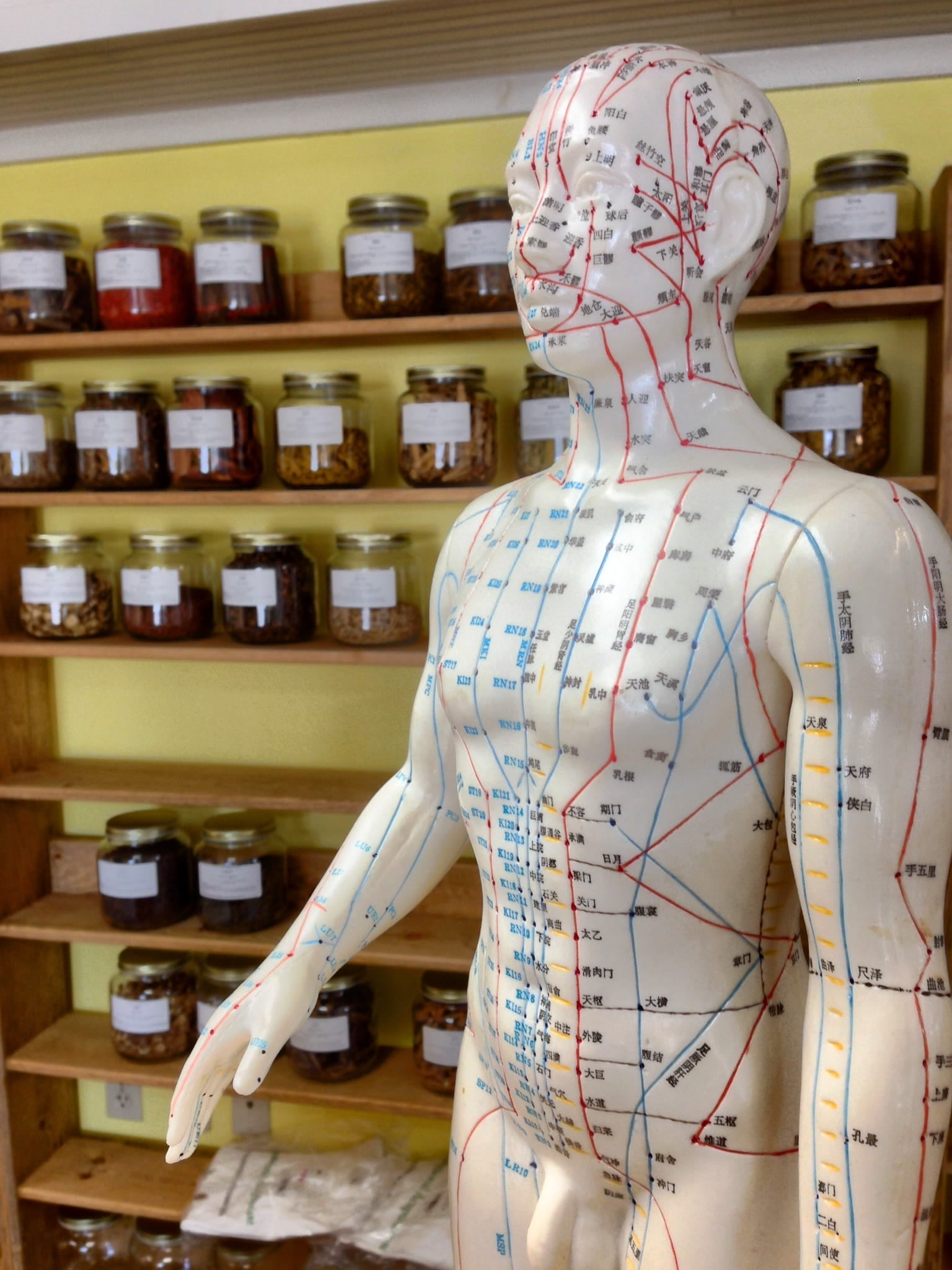 acupuncture, standing, homeopathy, consumerism, female likeness, alternative, shopping, human body part, one person, representation, points, human representation, Phone HD Wallpaper