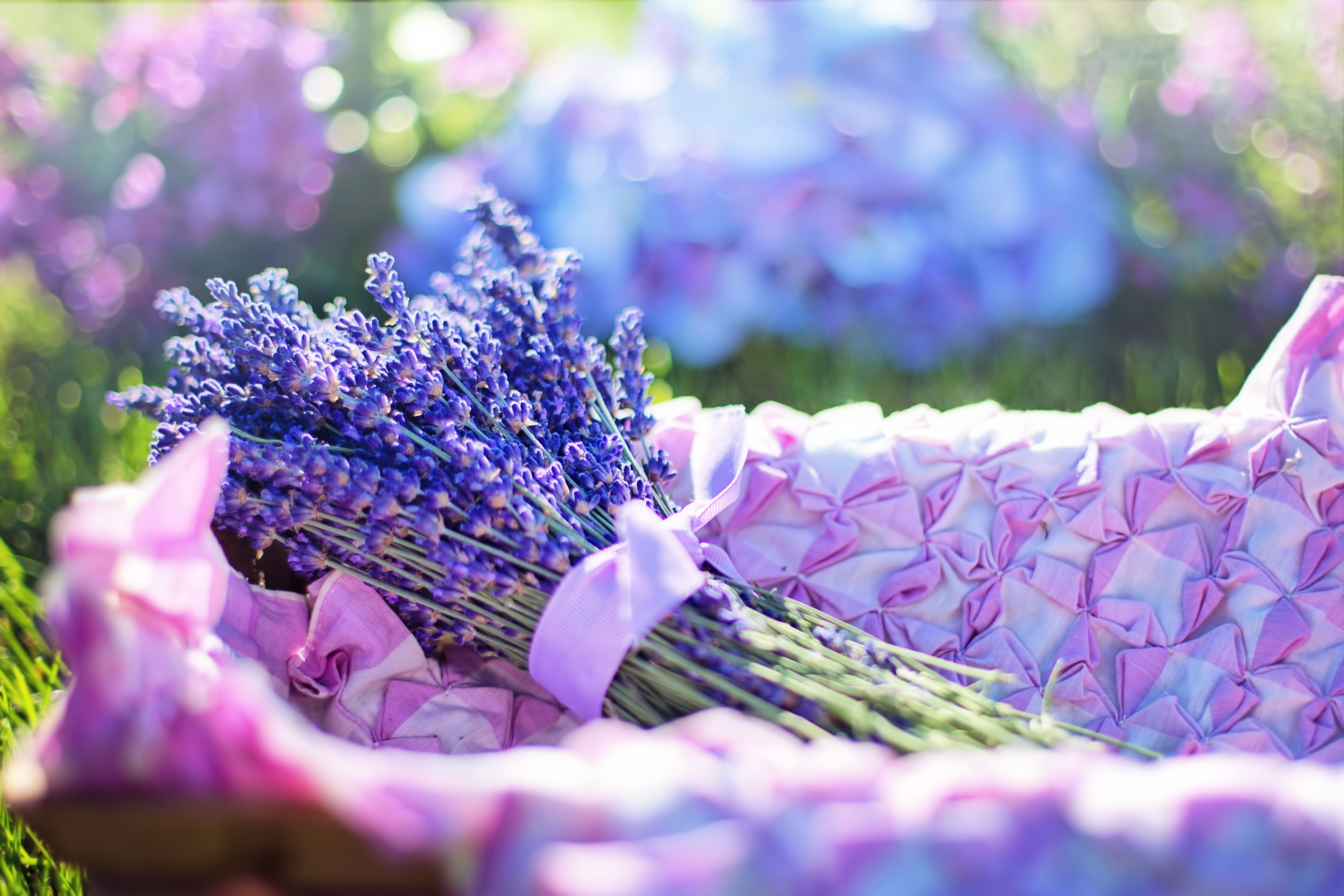 day, close-up, aroma, natural, purple, blossoms, flowering plant, flower arrangement, flower head, basket, freshness, park, 4K, no people, aromatherapy, HD Wallpaper