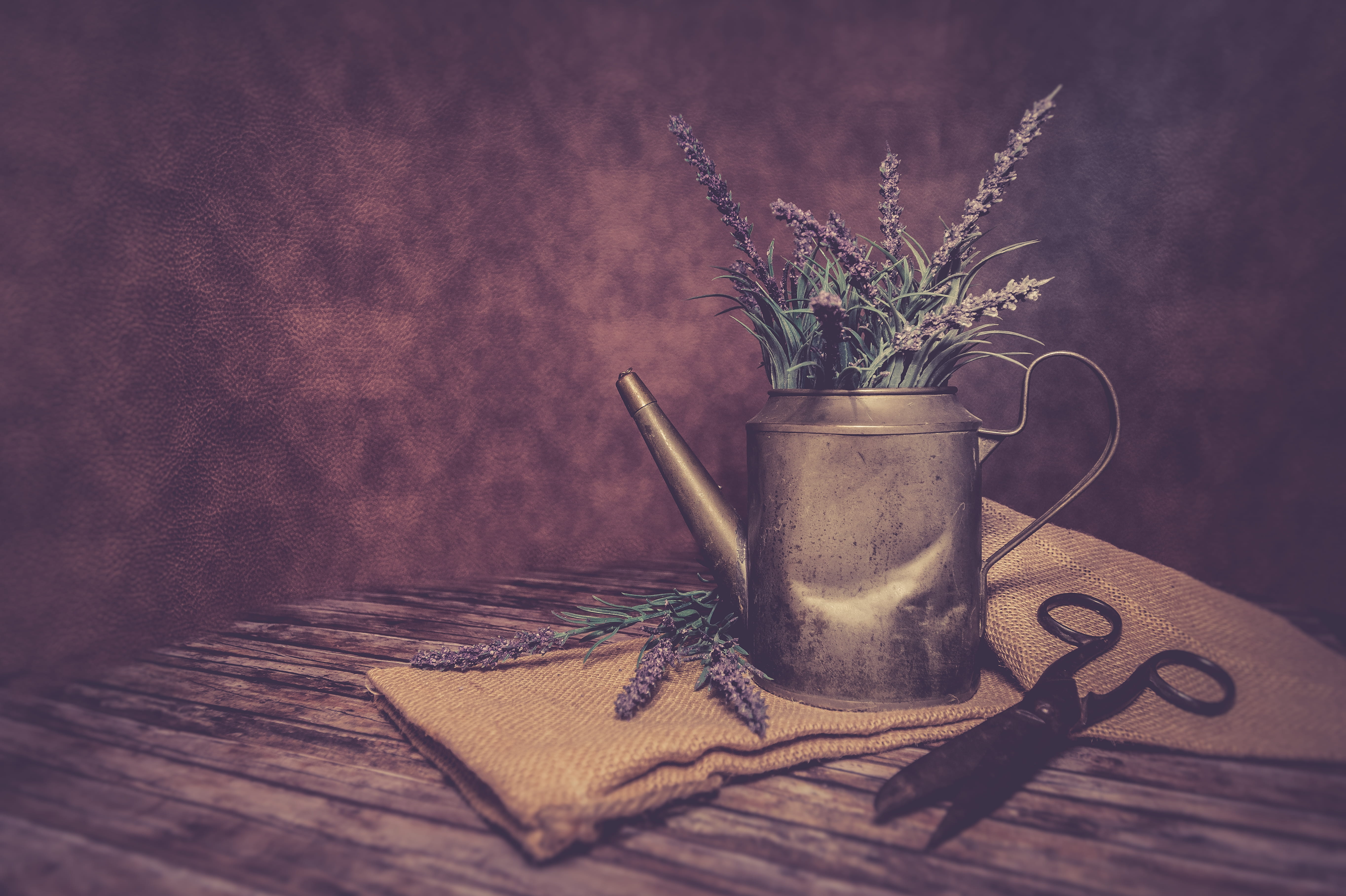 filled, decor, can, gardening, vase, vintage, plant part, decoration, copy space, silver, flowers, cup, table, potted plant, food, plant, rustic, food and drink, HD Wallpaper