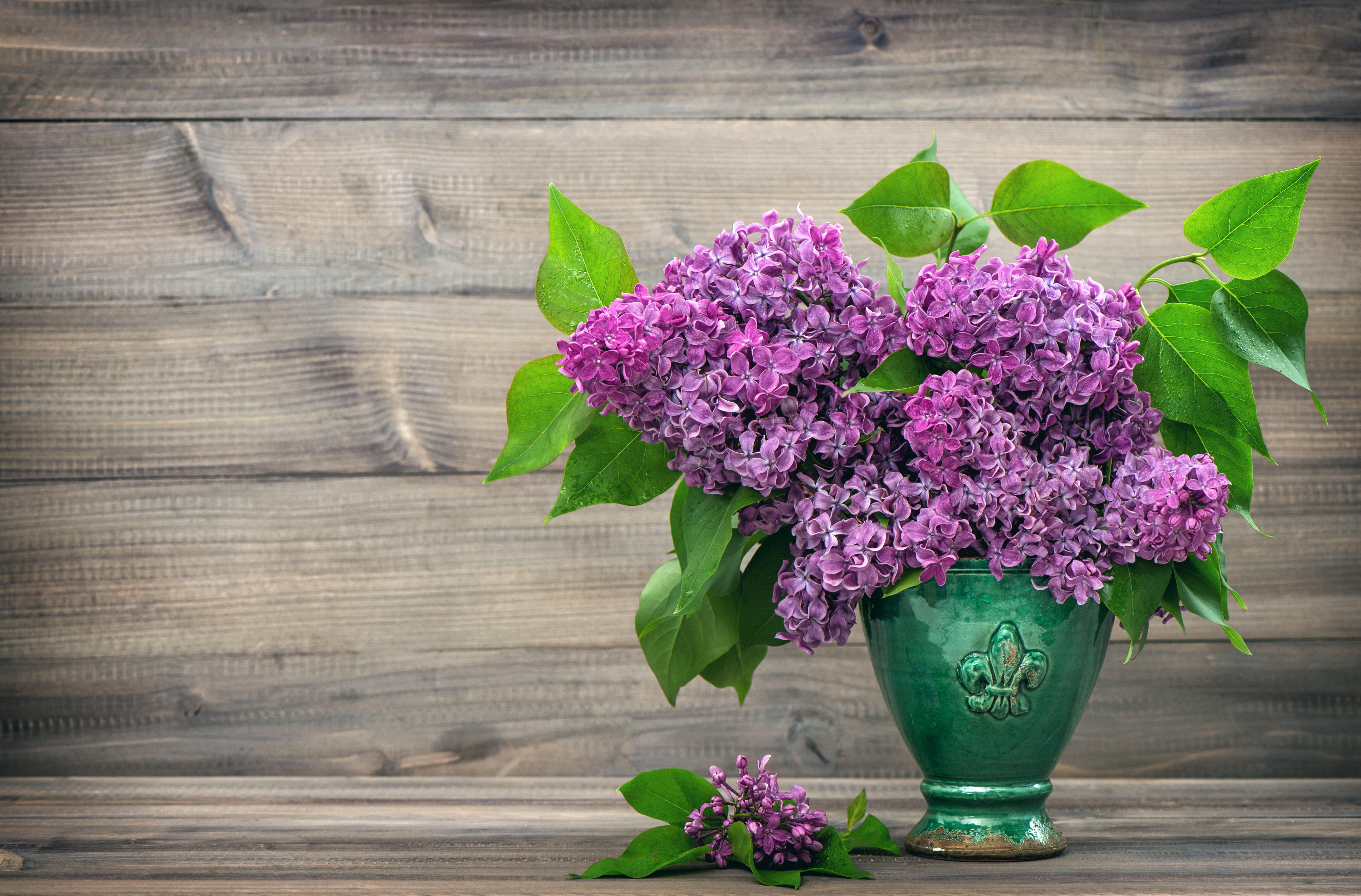 bouquet, flower, springtime, lilac, close-up, retro Styled, petal, wood - Material, old-fashioned, plant part, blue, bunch of flowers, decor, pink Color, HD Wallpaper