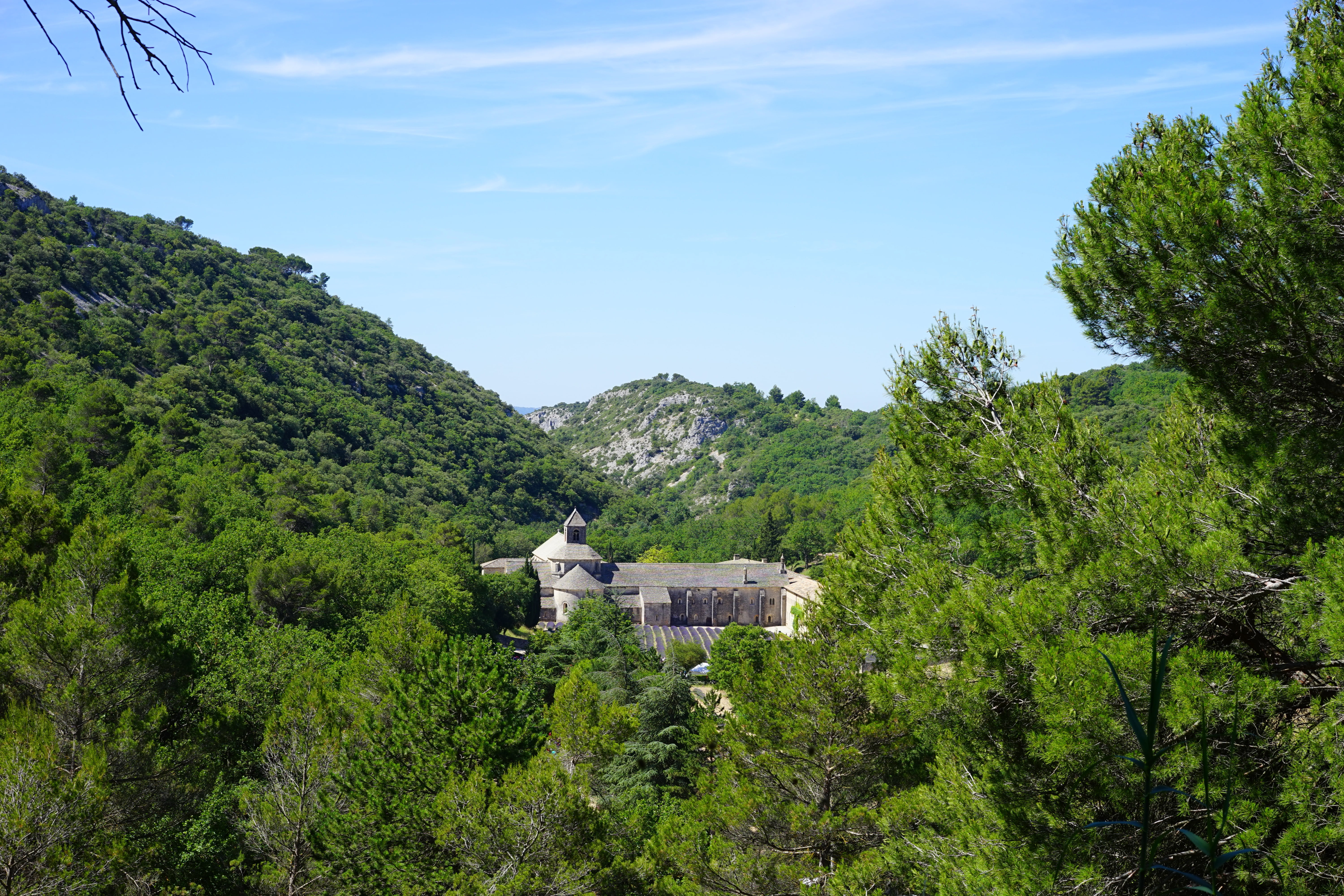 day, church, green color, scenics - nature, the order of cistercians, built structure, outdoors, notre dame de sénanque, tranquil scene, architecture, tranquility, HD Wallpaper