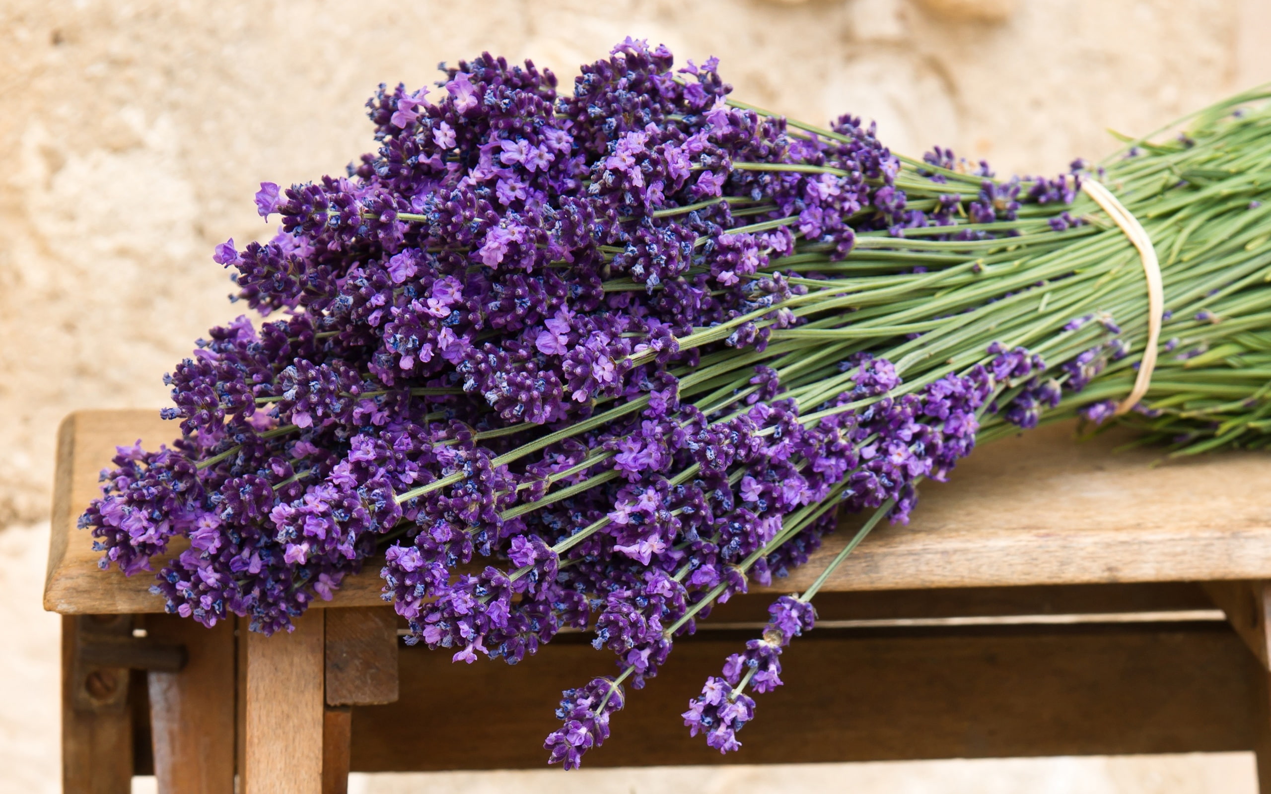 Lavender, Bouquet, 2K, Flowers, Purple, HD Wallpaper
