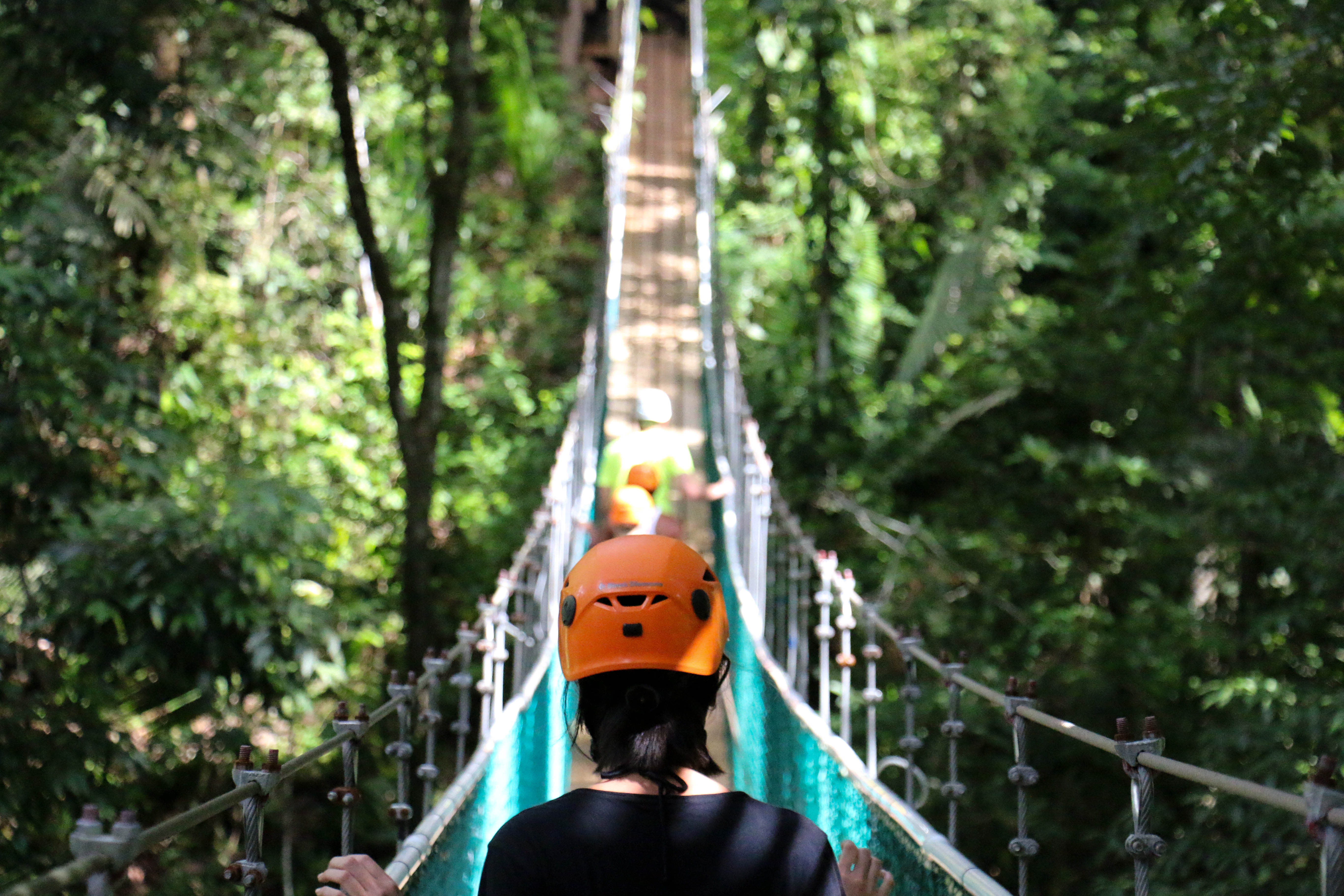 forest, real people, tree, nature, bridge, sportswear, headwear, outdoors, landsc, rope bridge, person, walking, footbridge, black, rope, protection, headshot, HD Wallpaper
