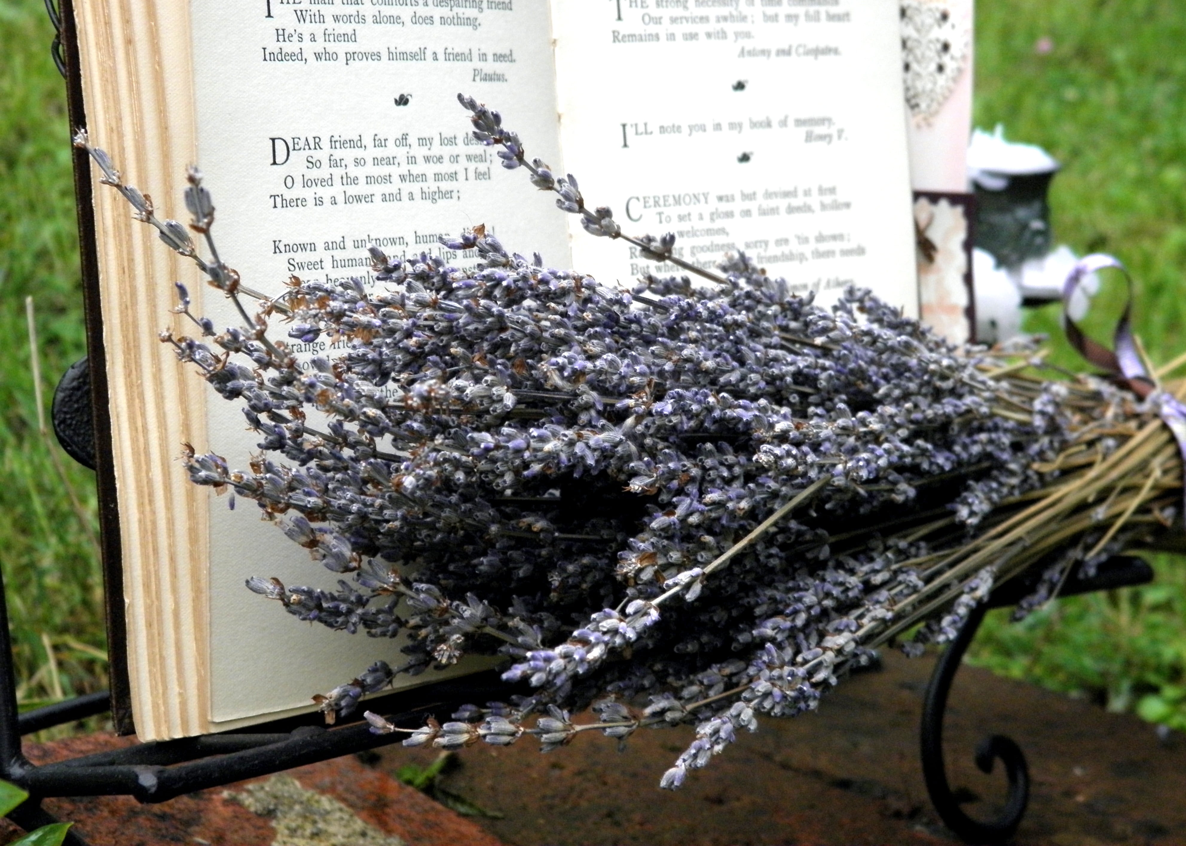 hanging, text, nature, poetry, communication, growth, freshness, lavender, non-western script, vintage book, decoration, cottage chic, flowering plant, HD Wallpaper