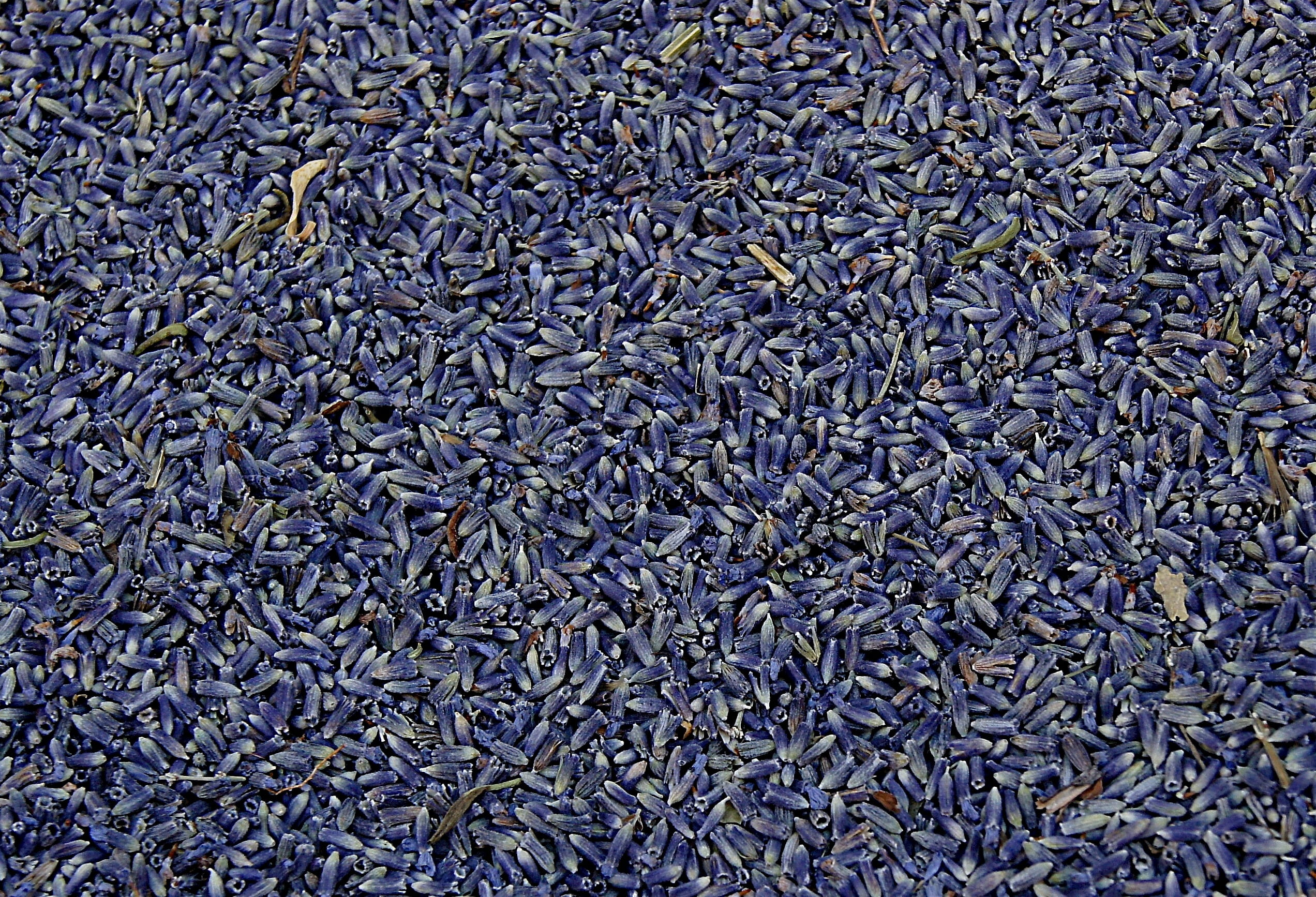 lavender, wellbeing, abstract, aromatherapy, aroma, flower, food, dried, lilac, close-up, abundance, no people, 1080P, heap, blue, full frame, seed, bouquet, HD Wallpaper