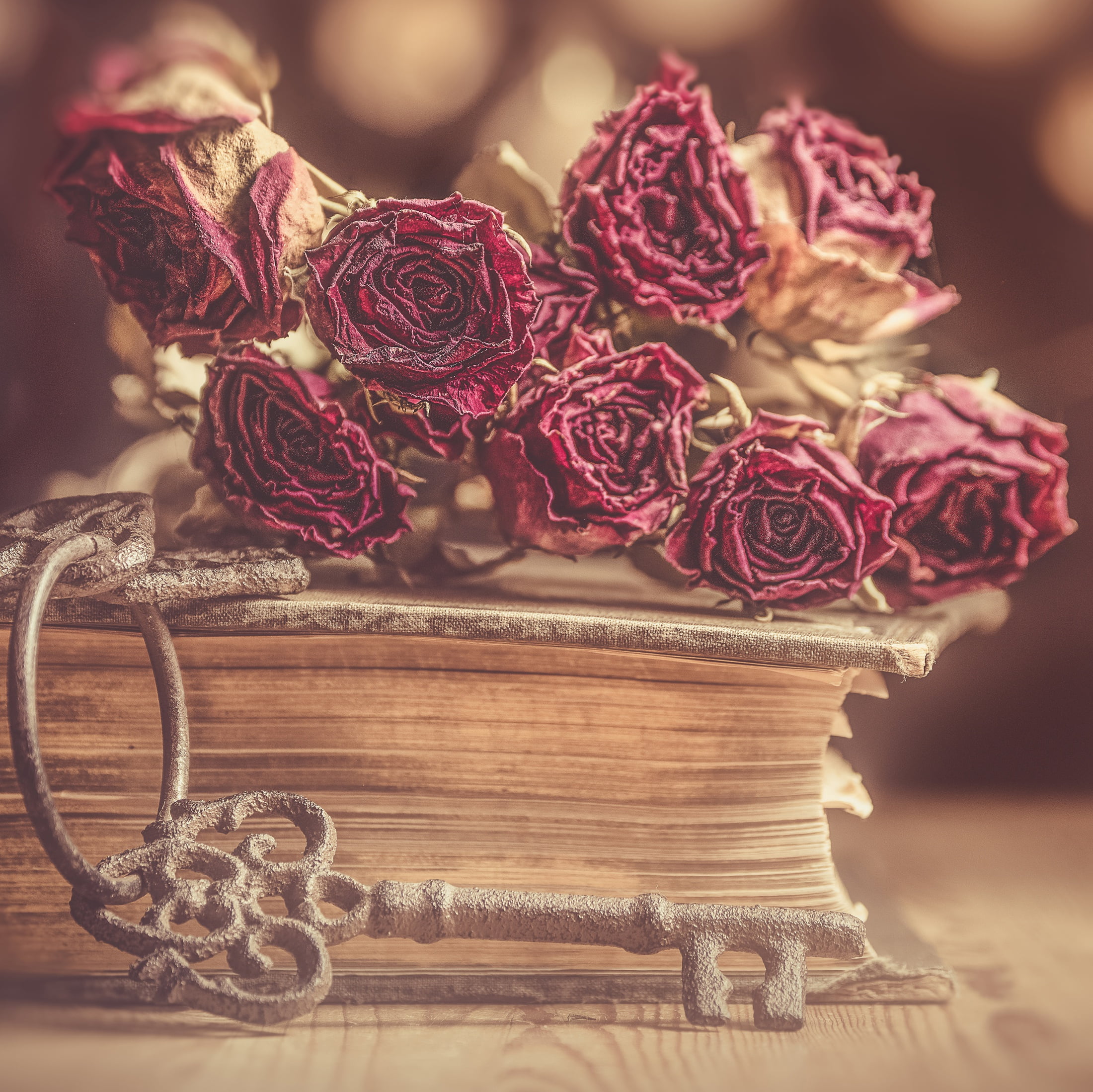 key, buds, 1080P, style, roses, flowers, book, dried, HD Wallpaper