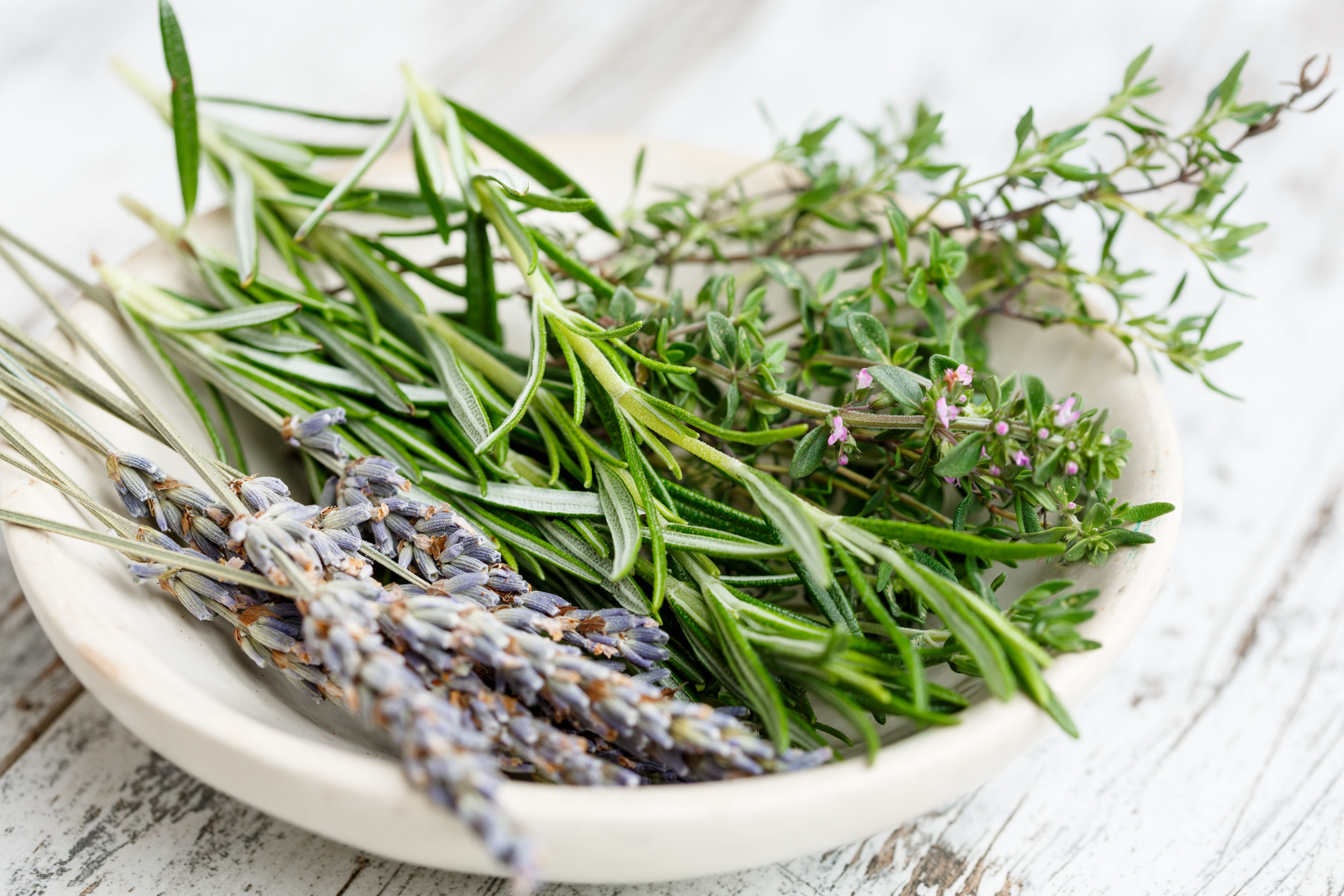 leaf, no people, raw, 5K, still life, ingredient, rustic, rosemary, food, Bouquet, Herbs, herb, Cuisine, selective focus, indoors, provence, dried herbs, HD Wallpaper