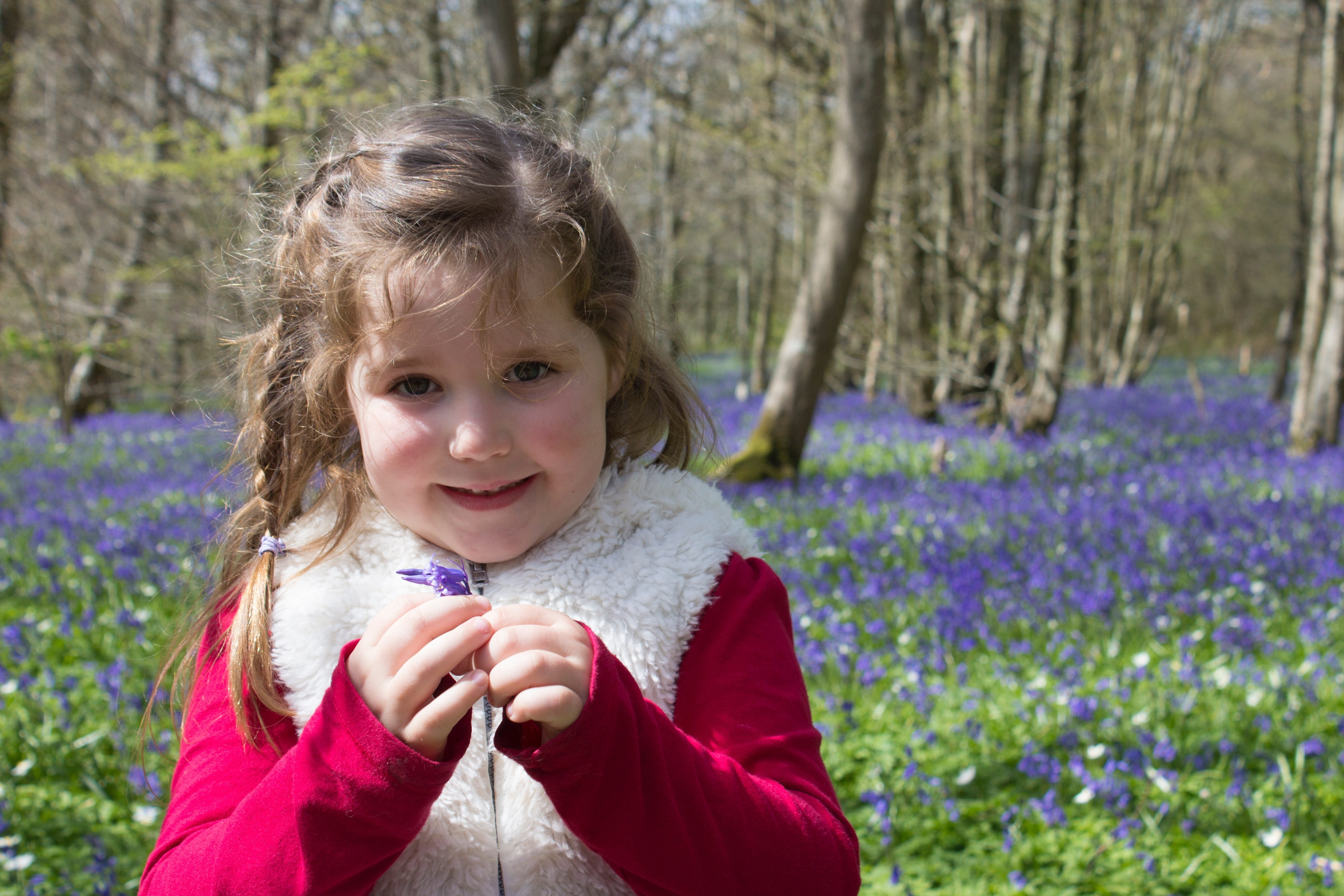 cute, flowers, jacket, leisure activity, purple, trees, flowering plant, emotion, portrait, beige, happy, red longsleeves, girl, braided hair, forest, flower, HD Wallpaper