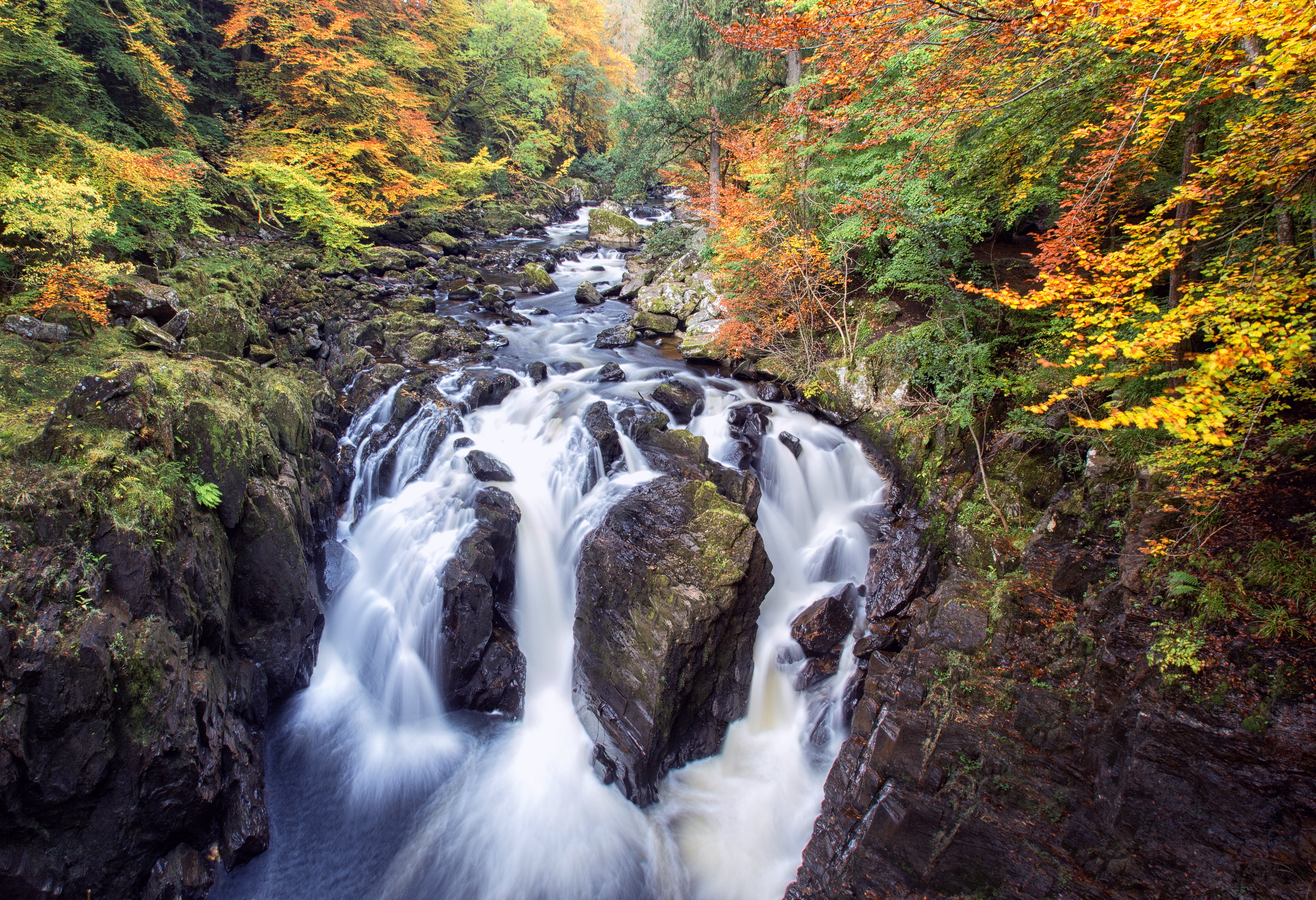 outdoors, Autumn, Ossians Hall, beauty In Nature, Perthshire, landscape, scenics, tree, 4K, stream, Waterfall, river, water, Hermitage, nature, forest, HD Wallpaper