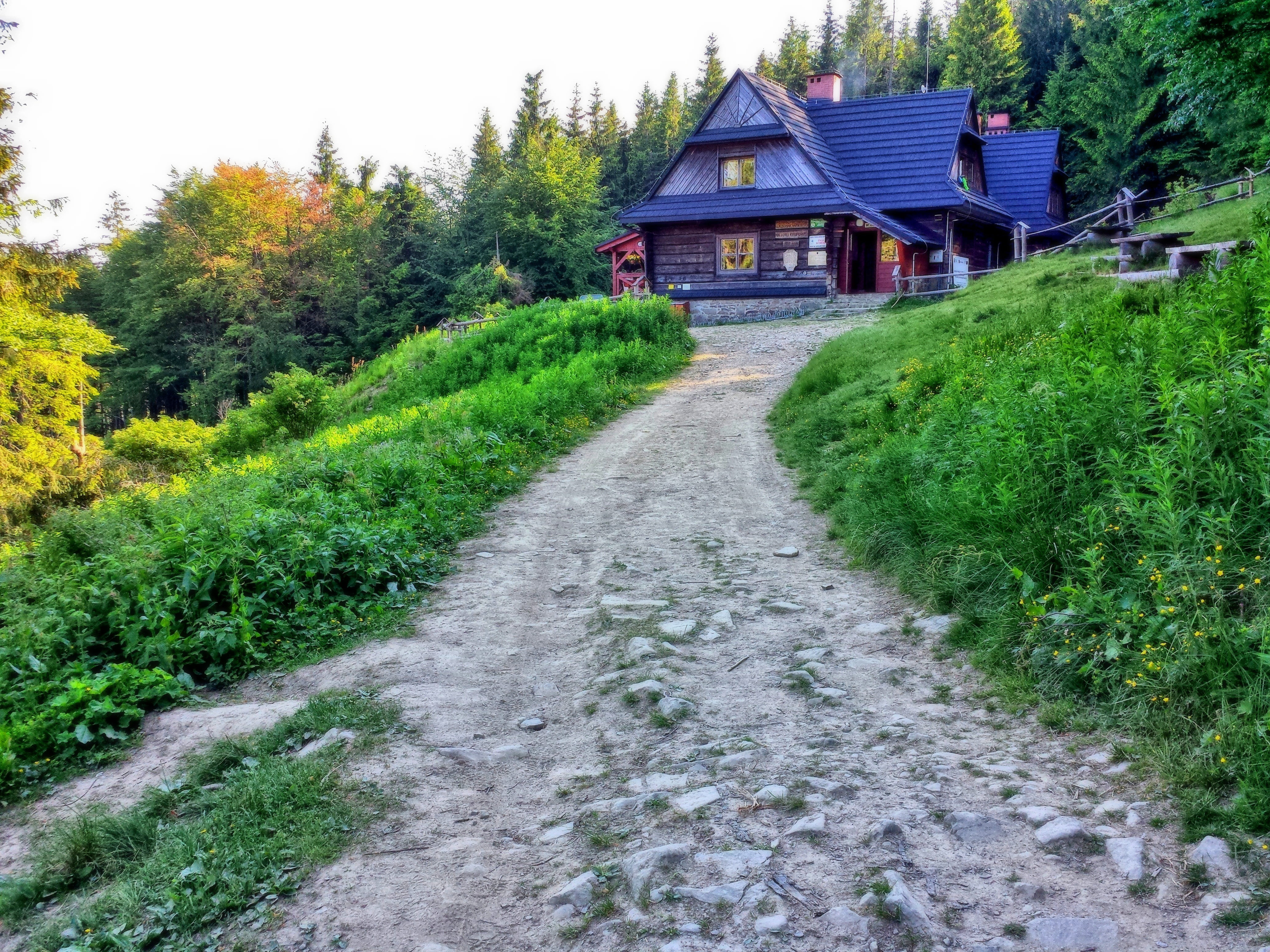 hall krupowa, direction, house, architecture, no people, poland, growth, residential district, forest, hiking trail, building, green color, mountains, built structure, HD Wallpaper