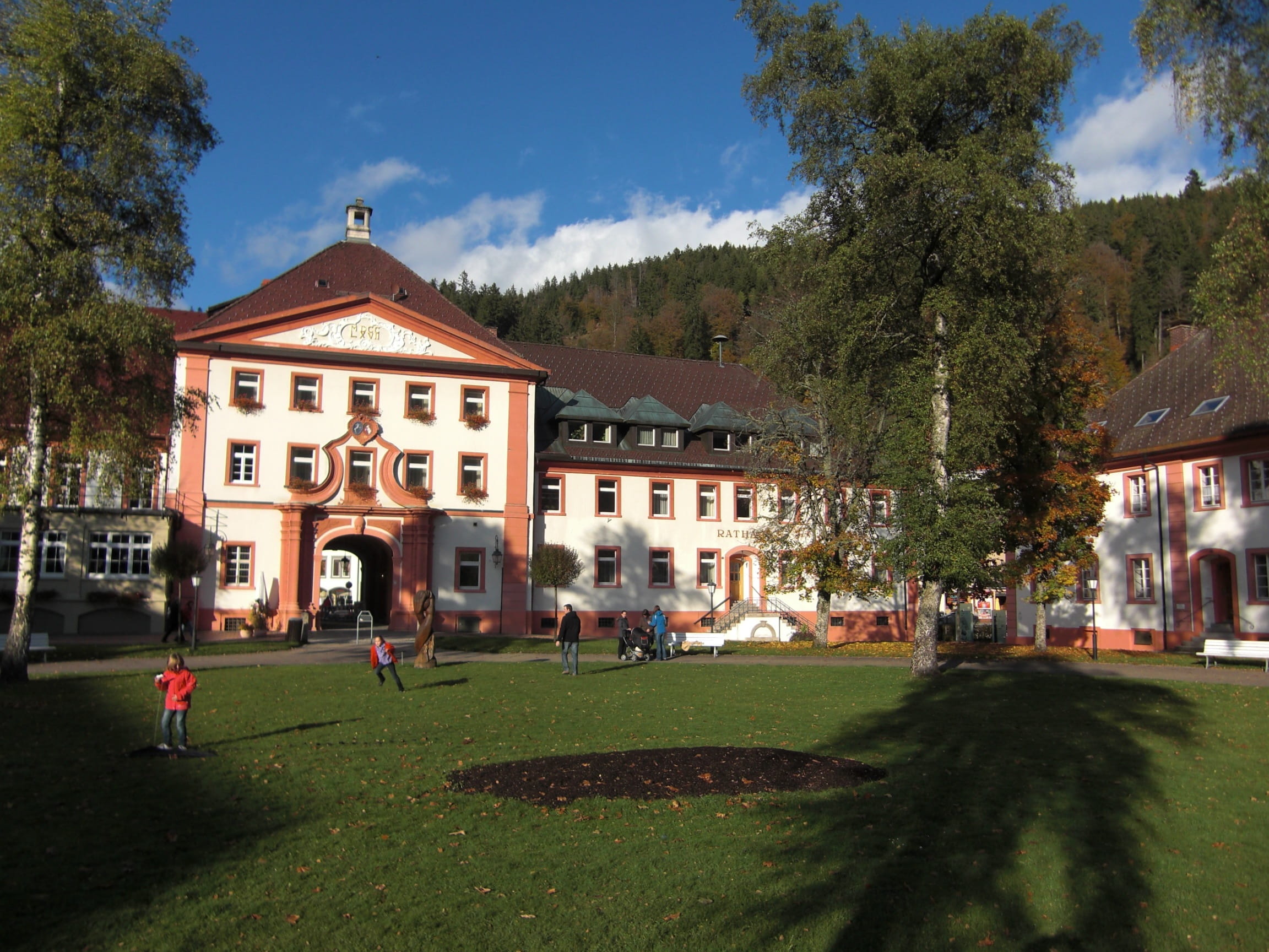 1080P, cloud - sky, shadow, Town Hall, tree, sunlight, Hall, house, building, nature, Building, sky, St Blasien, plant, architecture, black forest, day, HD Wallpaper
