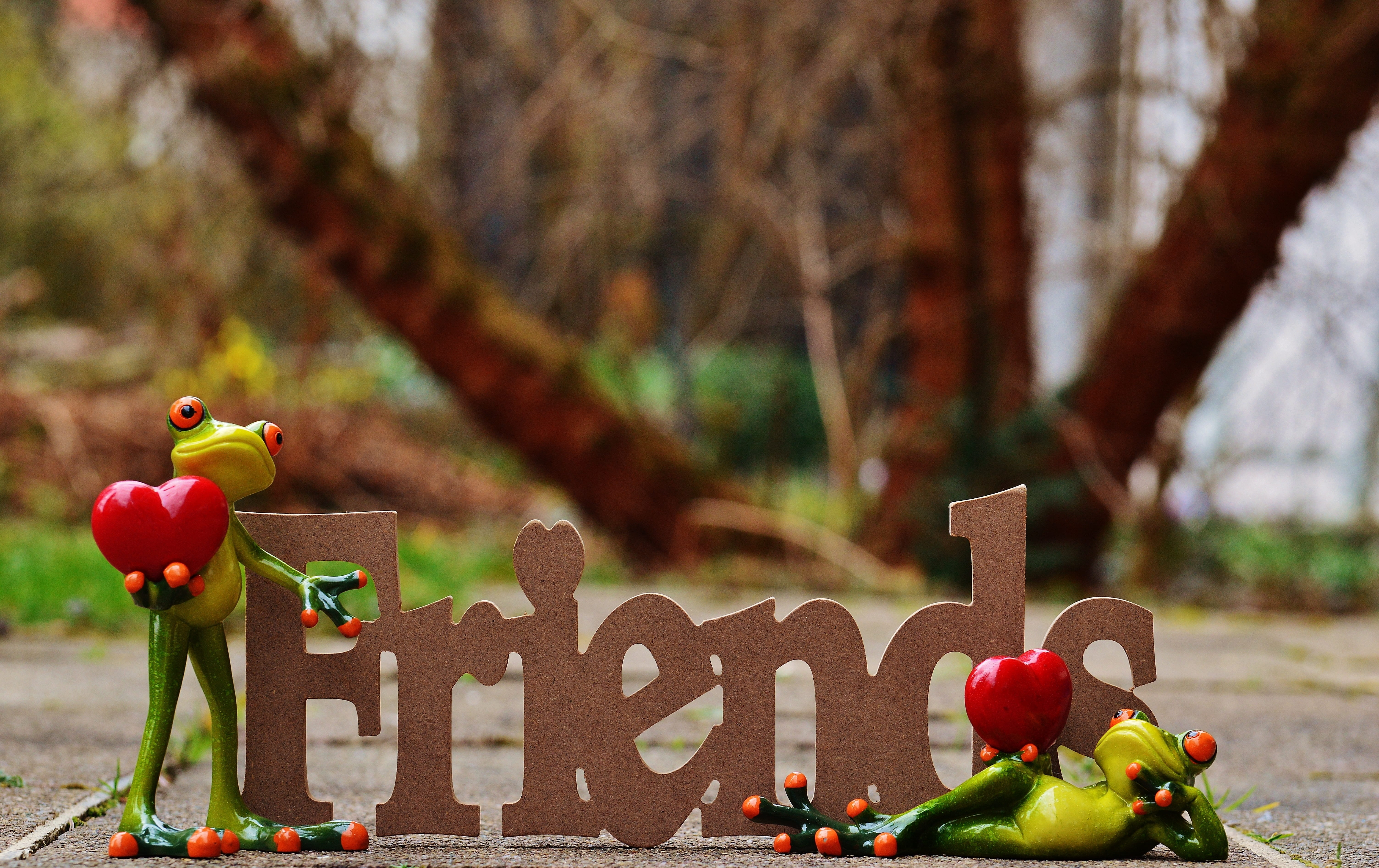 heart, toy, lovers, food and drink, valentines day, day, plant, marriage proposal, food, autumn, luck, marry, tender, tree, wood - material, emotion, romance, HD Wallpaper