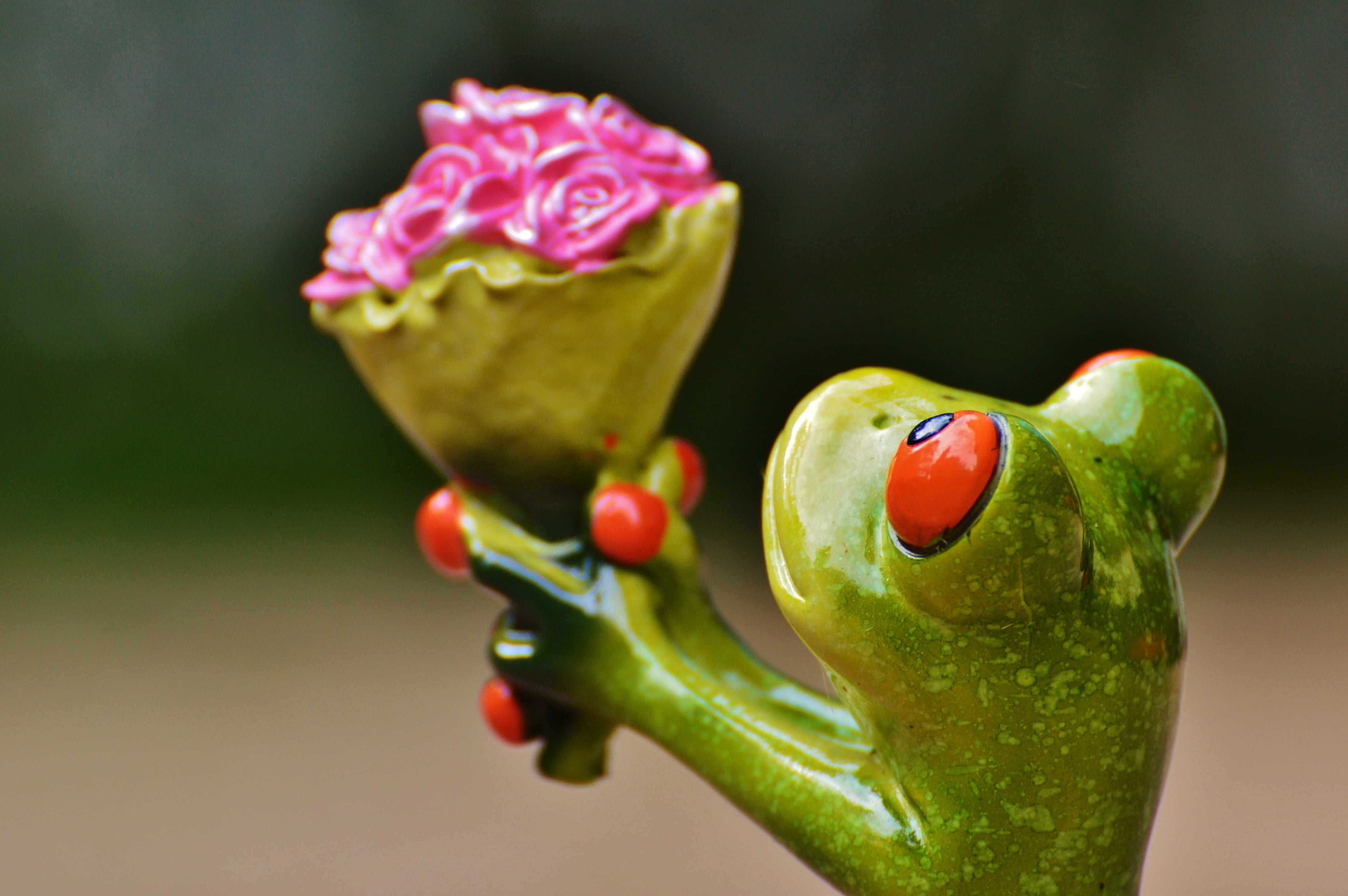 flowering plant, rose, beauty in nature, valentines day, fruit, plant, red, sweet, food, rose - flower, love, frog, leaf, close-up, flower, food and drink, HD Wallpaper