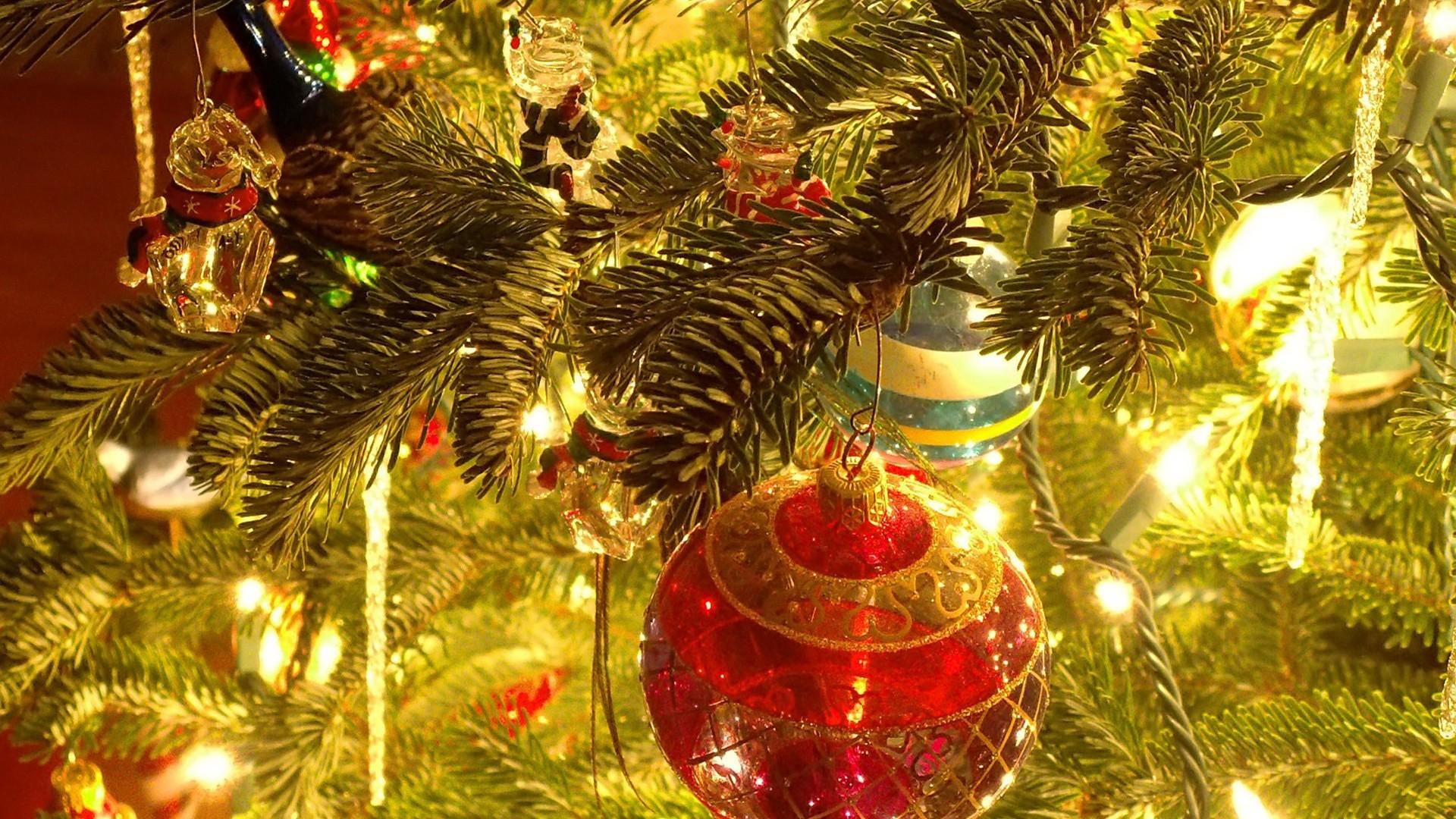holiday, christmas, 1080P, tree, lights, 3d and abstract, christmas tree, decorations, decor, HD Wallpaper