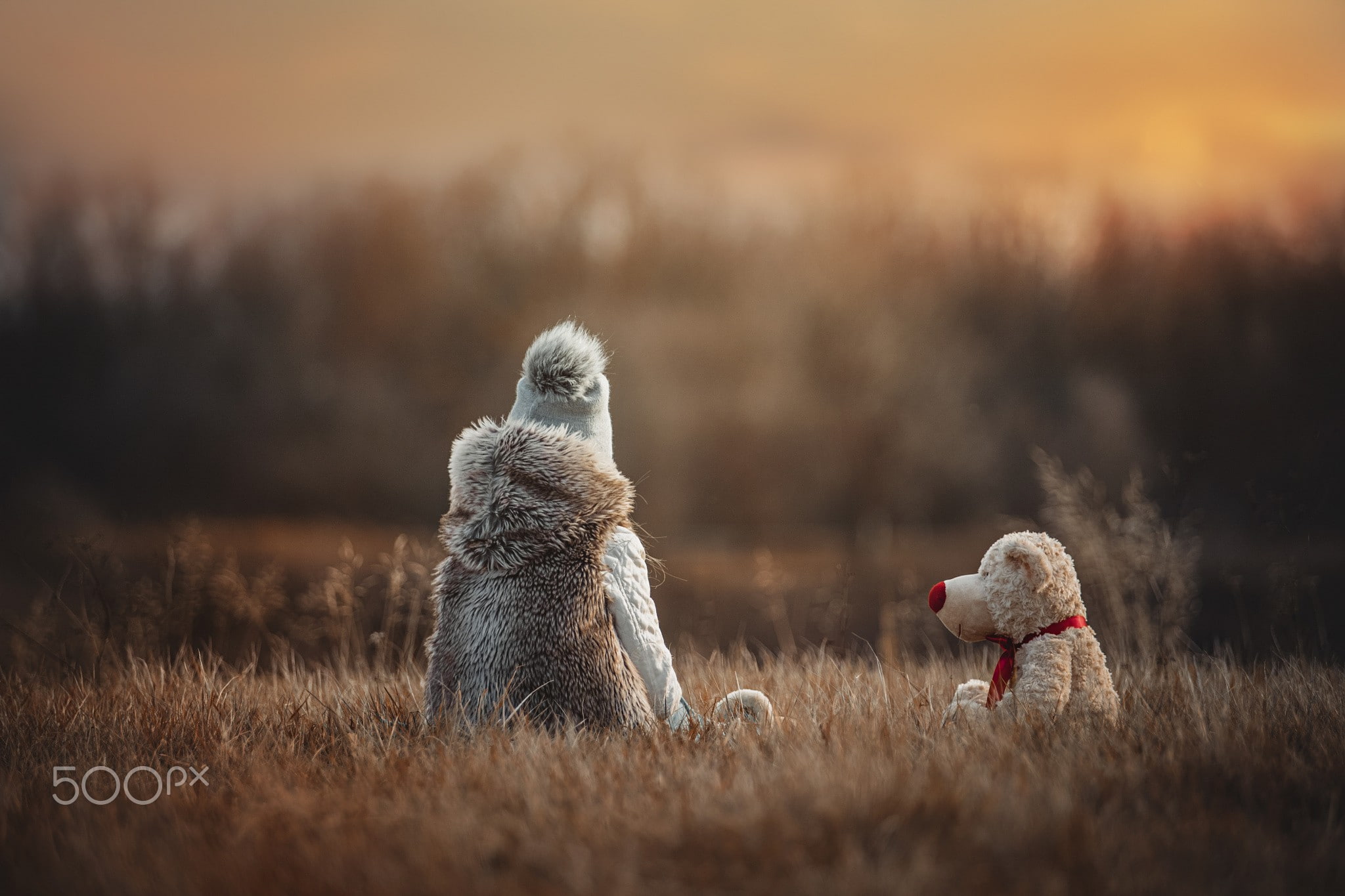 children, mammal, focus on foreground, no people, land, animals in the wild, young animal, grass, animal wildlife, standing, two animals, togetherness, HD Wallpaper