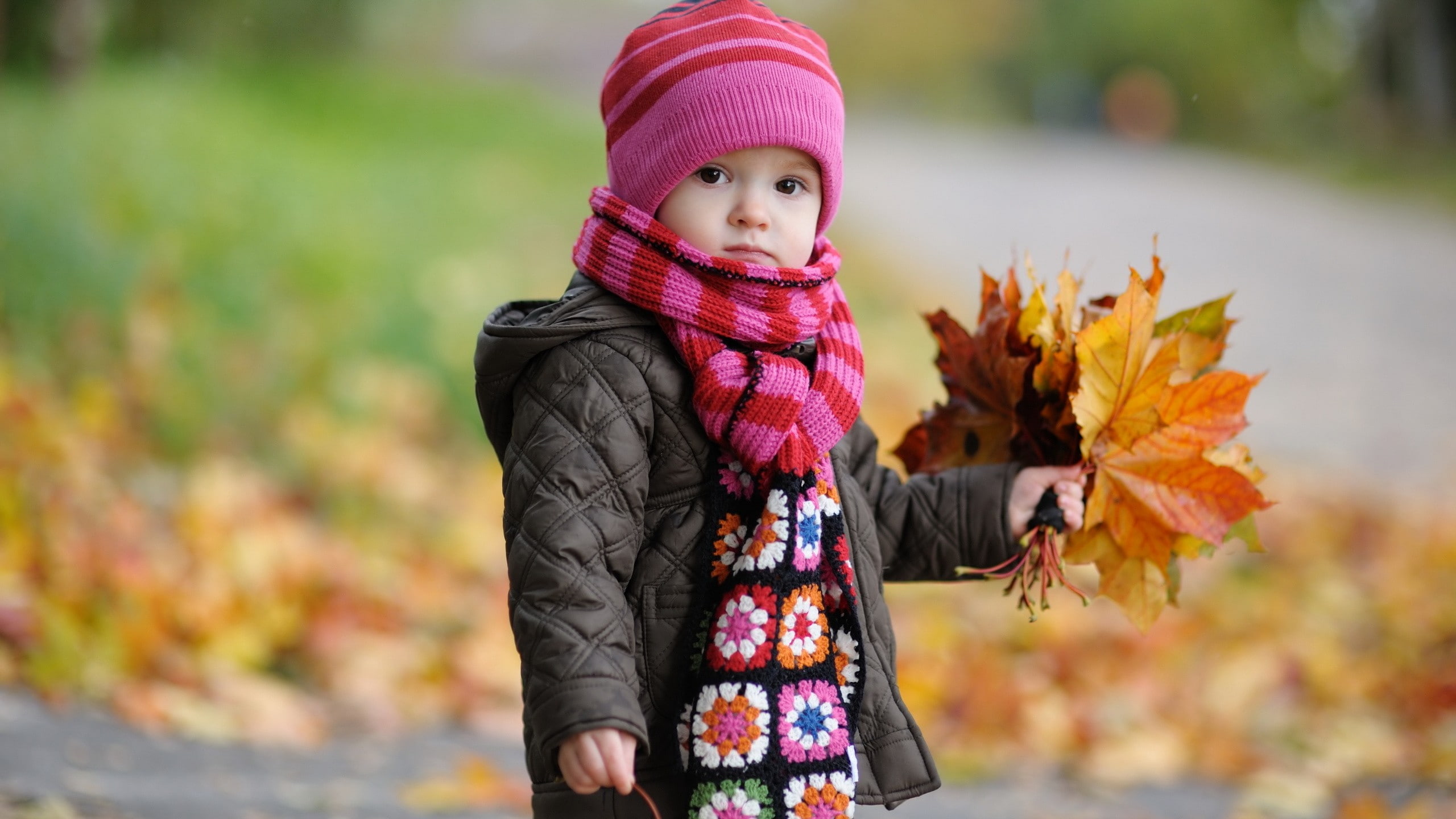 one person, warm clothing, nature, autumn, lifestyles, cute, change, 2K, winter, portrait, innocence, front view, children, scarf, hat, leaves, leisure activity, HD Wallpaper