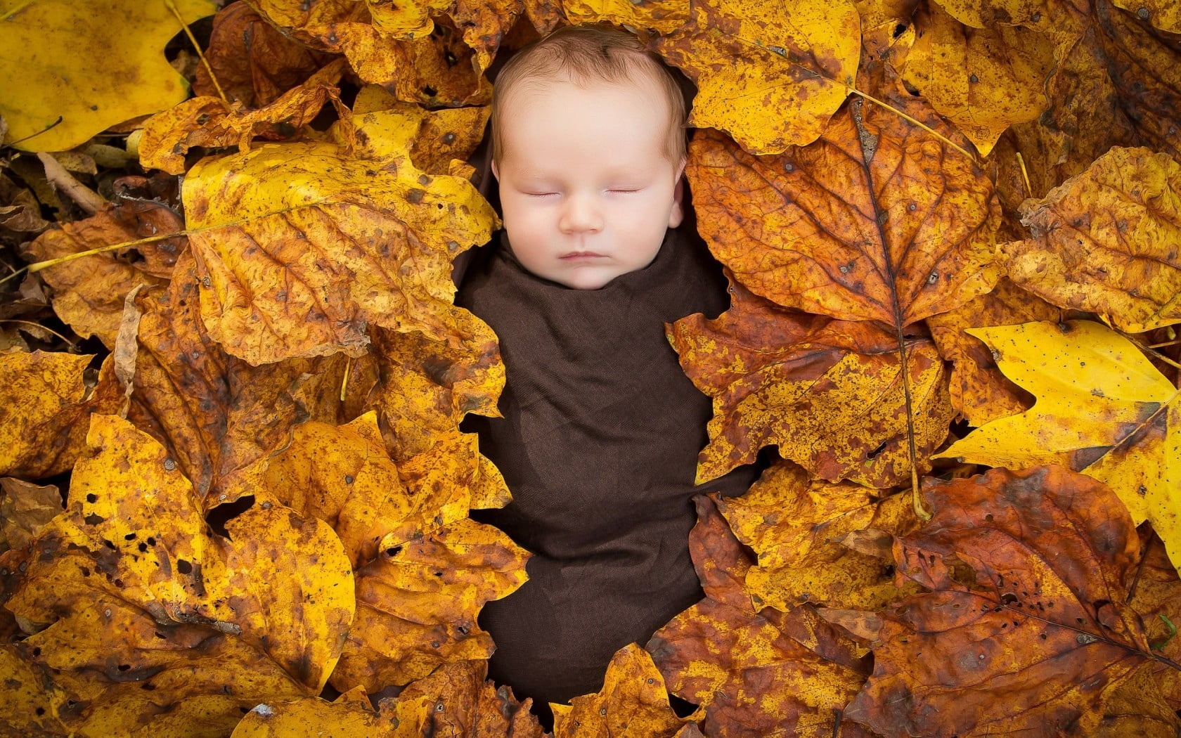 looking, season, change, people, tree, orange Color, lying Down, innocence, beautiful, one Boy Only, 720P, color Image, child, october, real people, children Only, HD Wallpaper