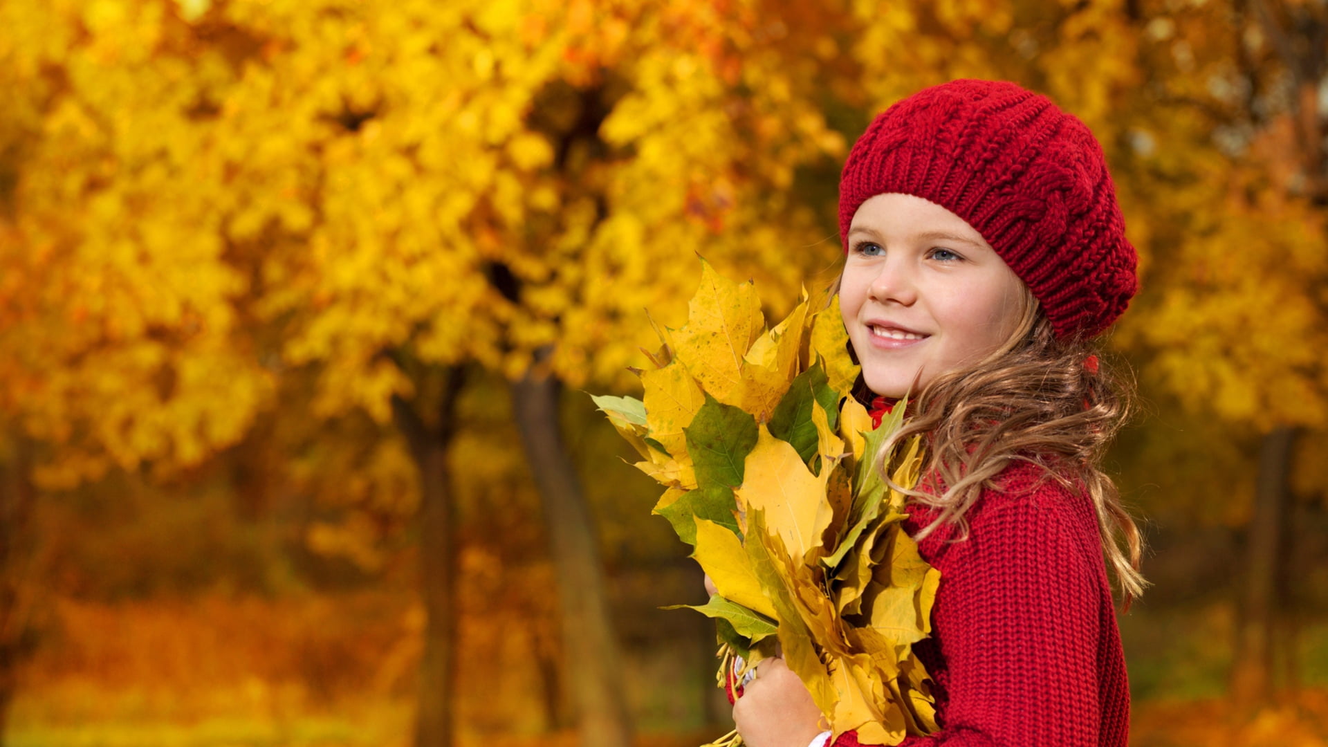 jacket, women, leisure Activity, cute, tree, girls, season, mood, fun, small, positive Emotion, human Face, red, maple Leaf, laughing, maple Tree, forest, HD Wallpaper