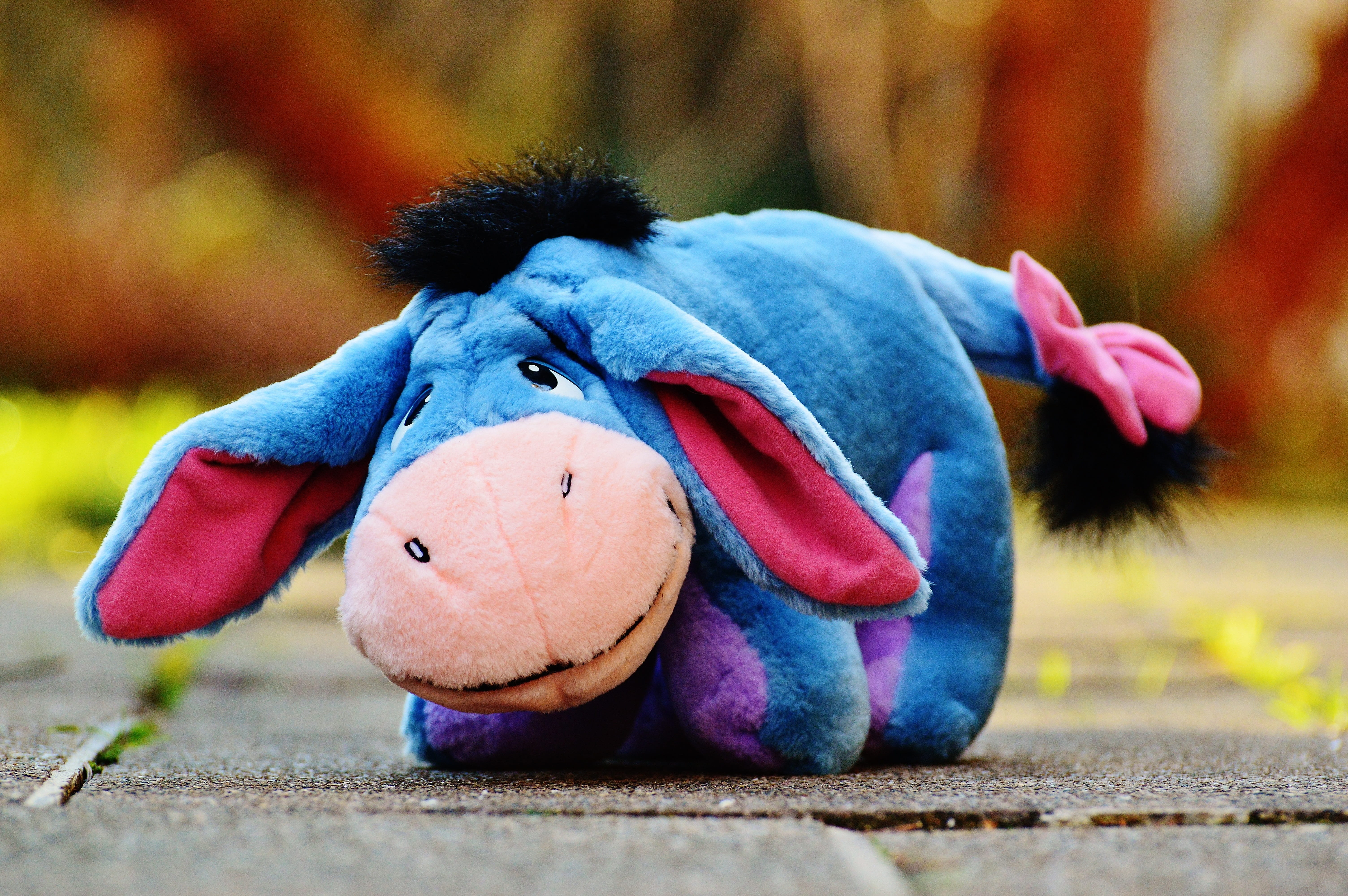 multi Colored, selective focus, fun, outdoors, vertebrate, cute, funny, soft toy, no people, animals in the wild, Toys, Stuffed Animal, animal themes, childhood, HD Wallpaper
