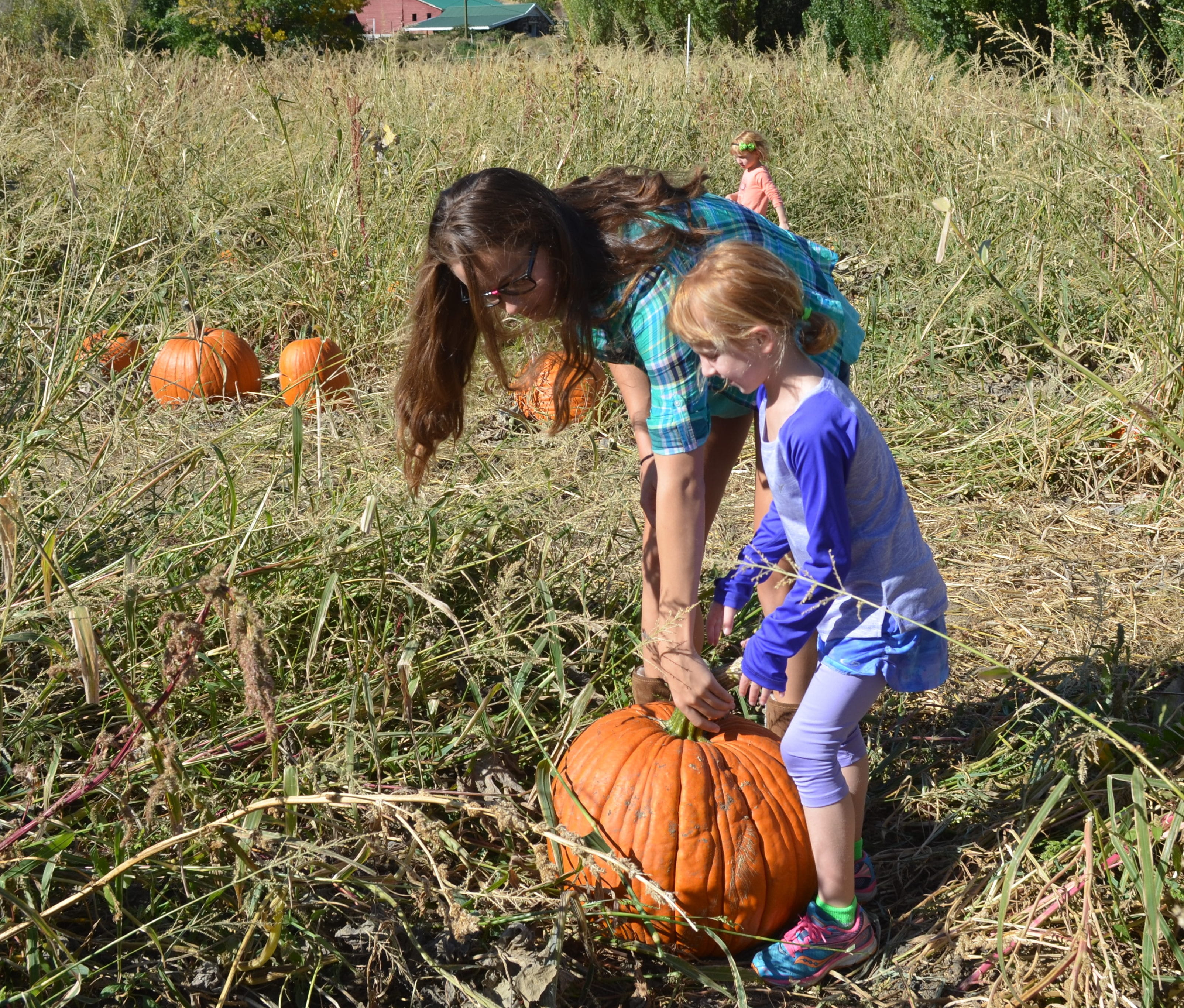 2K, fall, childhood, Pumpkin Patch, girls, celebration, sister, child, innocence, females, children only, land, casual clothing, nature, women, autumn, HD Wallpaper