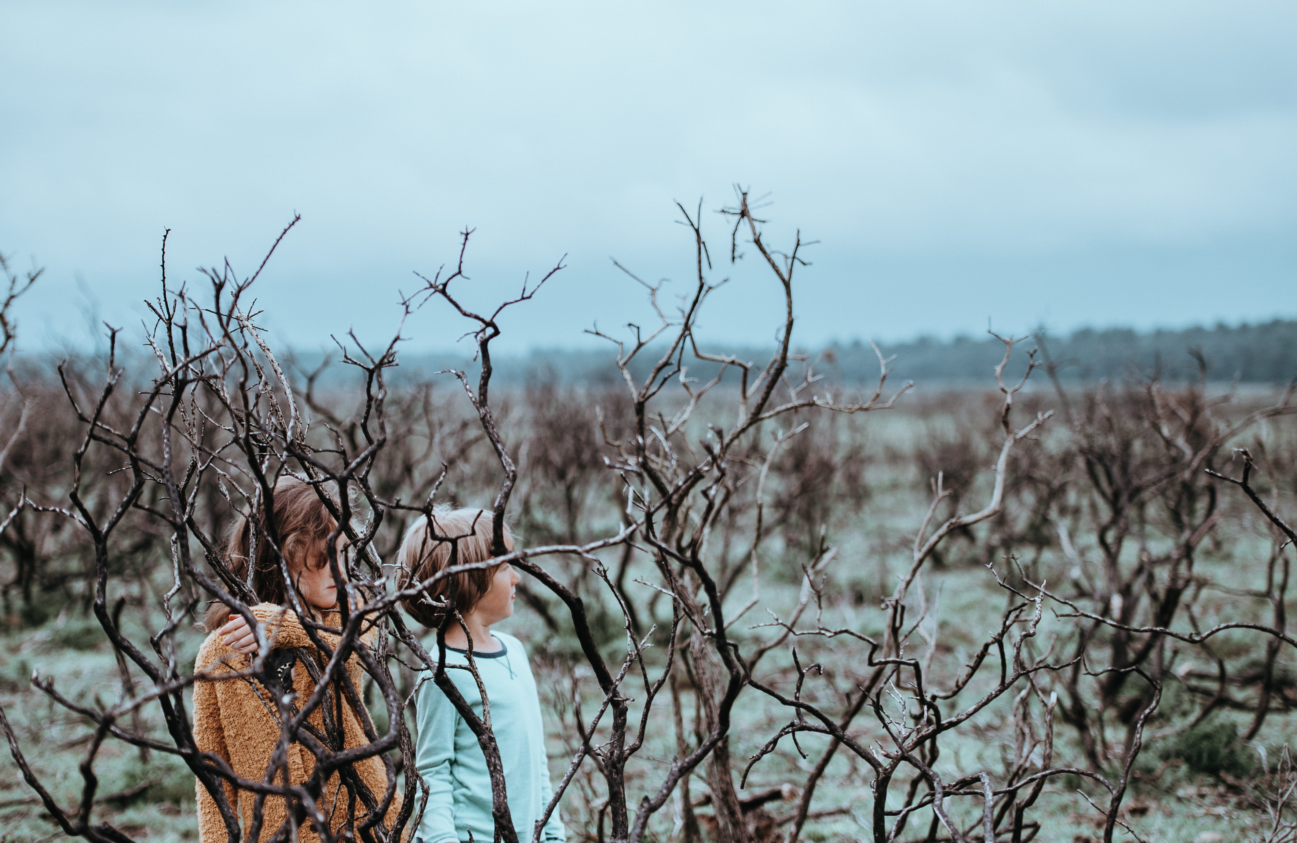 folk, plant, mammal, girl, children, 4K, tranquility, dry, dead plant, outdoor, moody, non-urban scene, outdoors, sky, cloud - sky, near, nature, autumn, HD Wallpaper