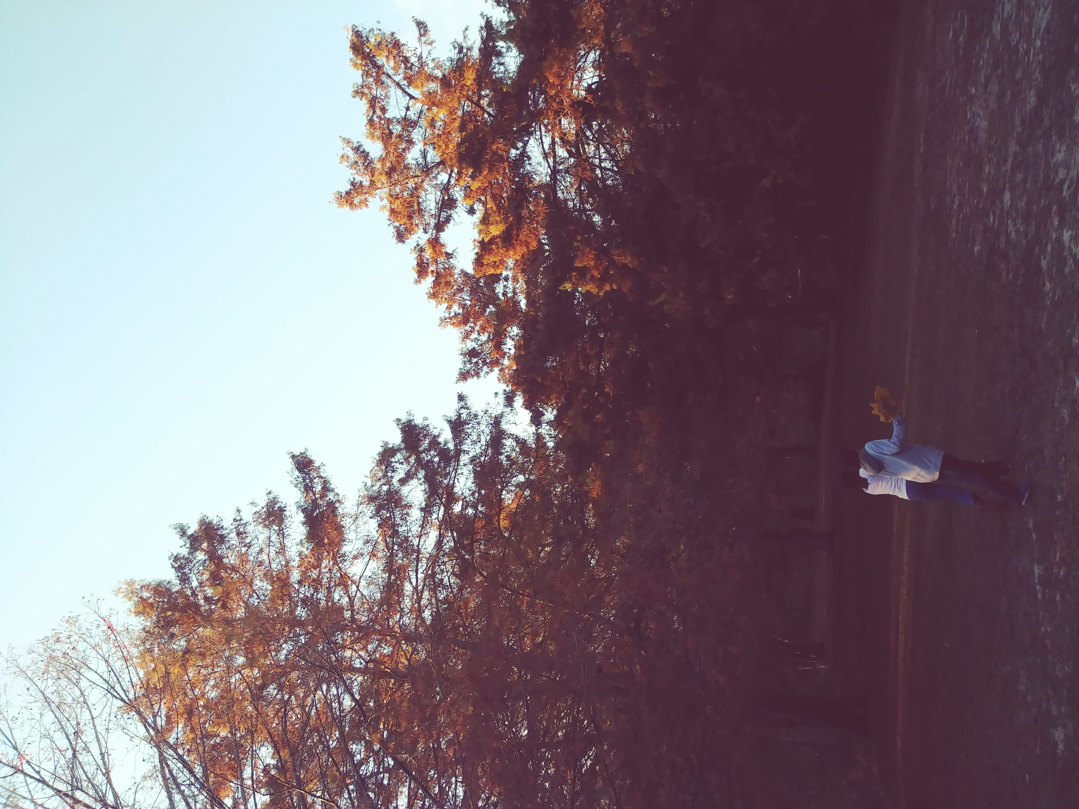 florence, day, love, art and craft, beauty in nature, kids, autumn, sky, 4K, running, statue, low angle view, sculpture, change, play, no people, nature, HD Wallpaper