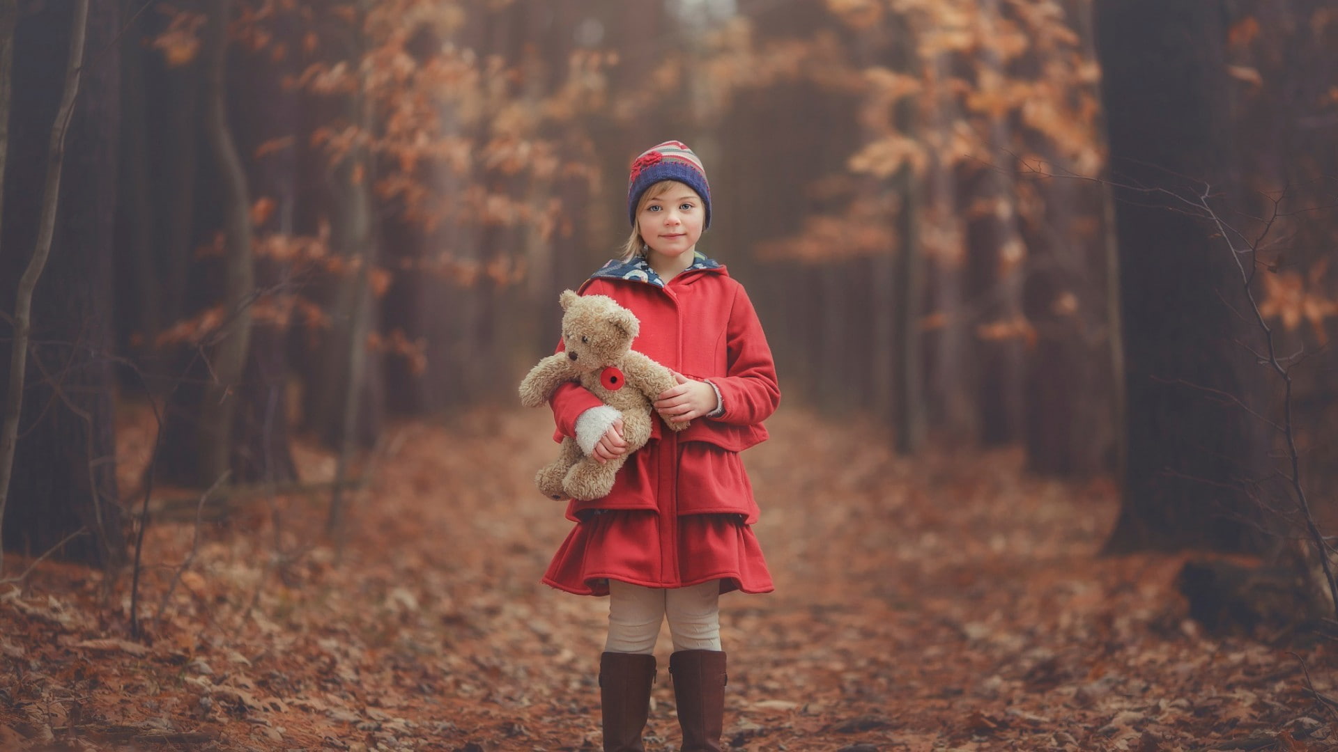 forest, Fall, Teddy Bears, 1080P, Woolly Hat, children, HD Wallpaper