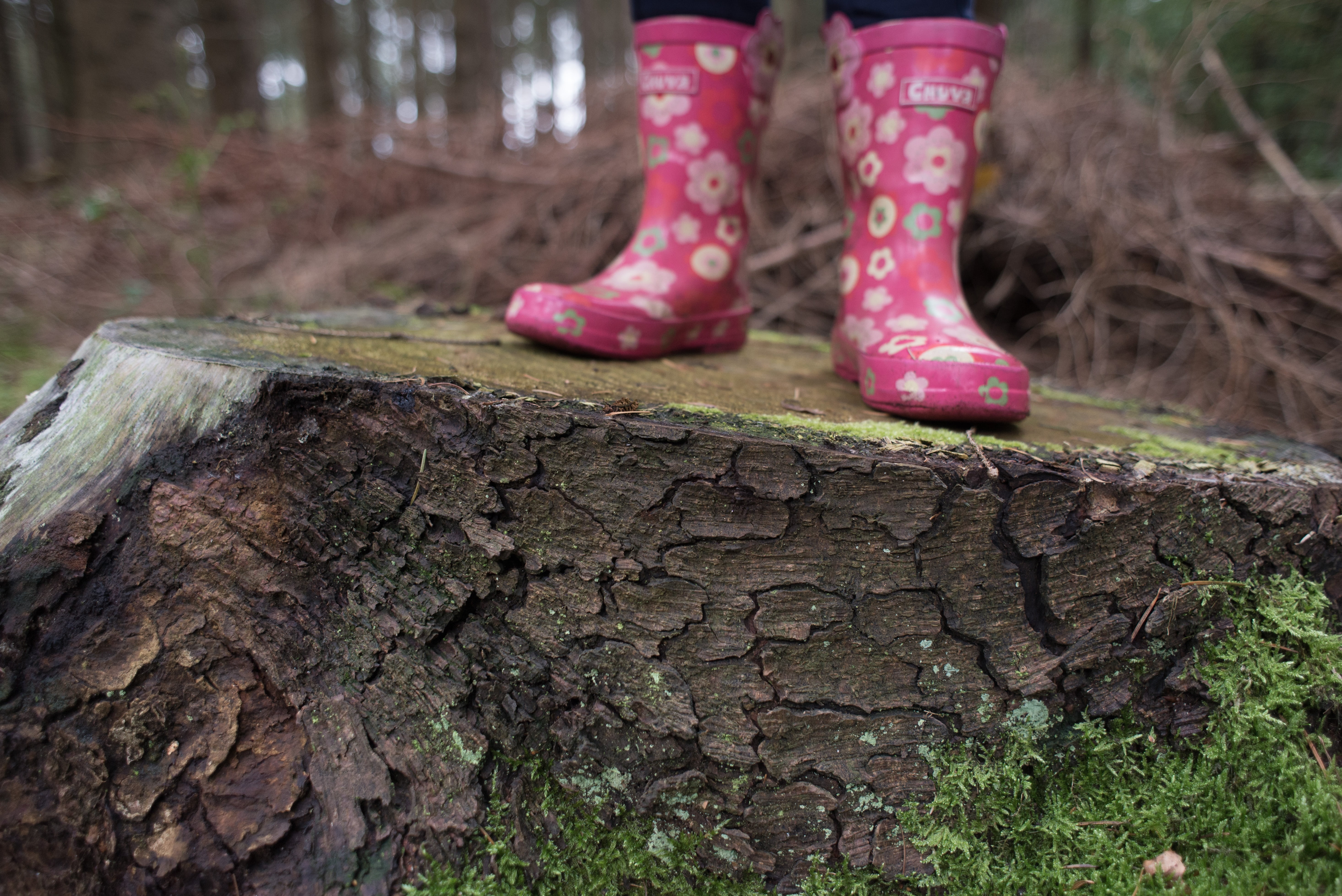 outdoors, walking, offspring, rubber boot, walk, human body part, body part, pink color, tree trunk, flowers, human leg, one girl only, nature, people, HD Wallpaper