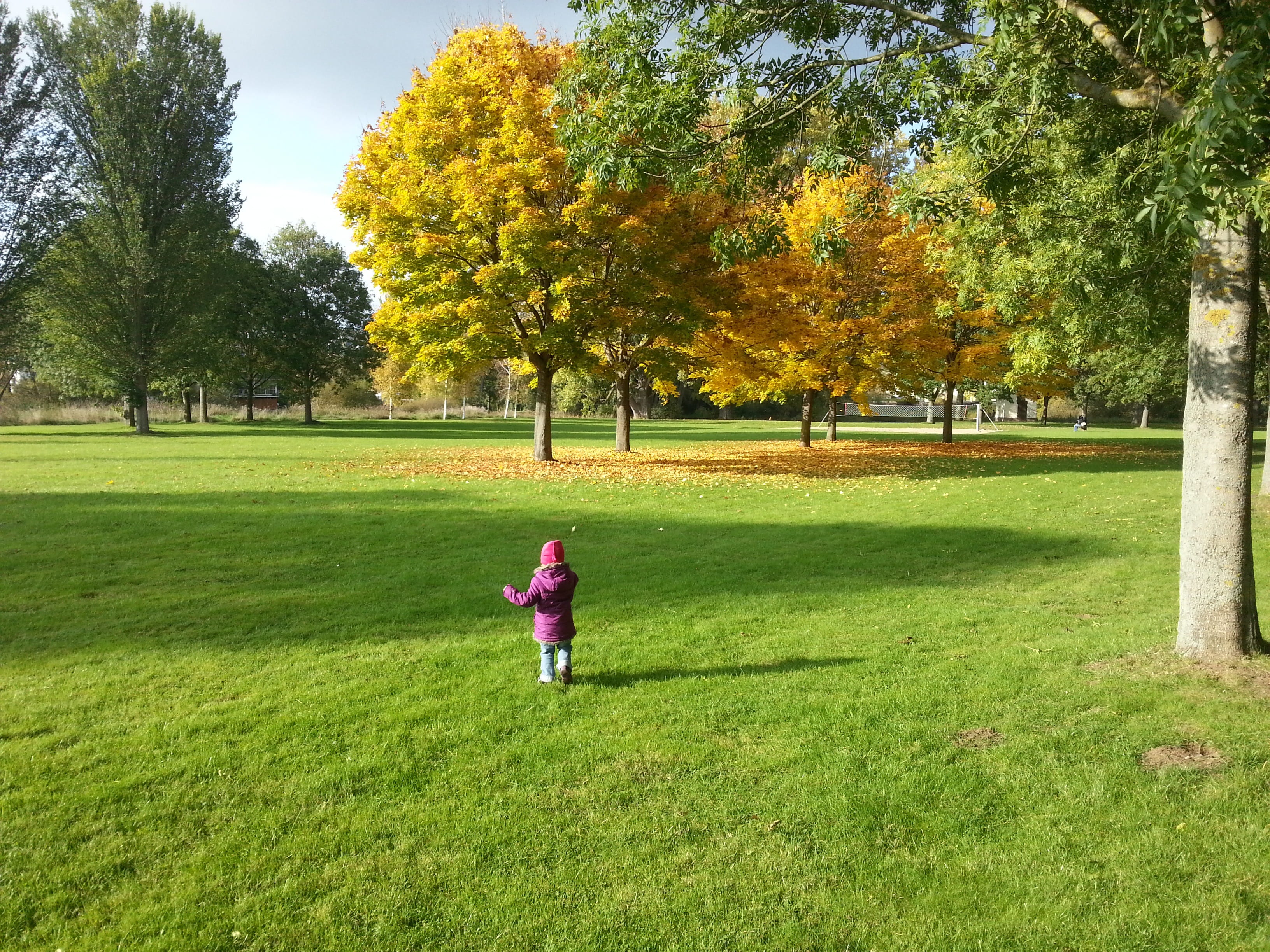 day, land, 2K, fall color, golden autumn, growth, playing, outdoors, nature, leisure activity, full length, park, children only, beauty in nature, tree, HD Wallpaper